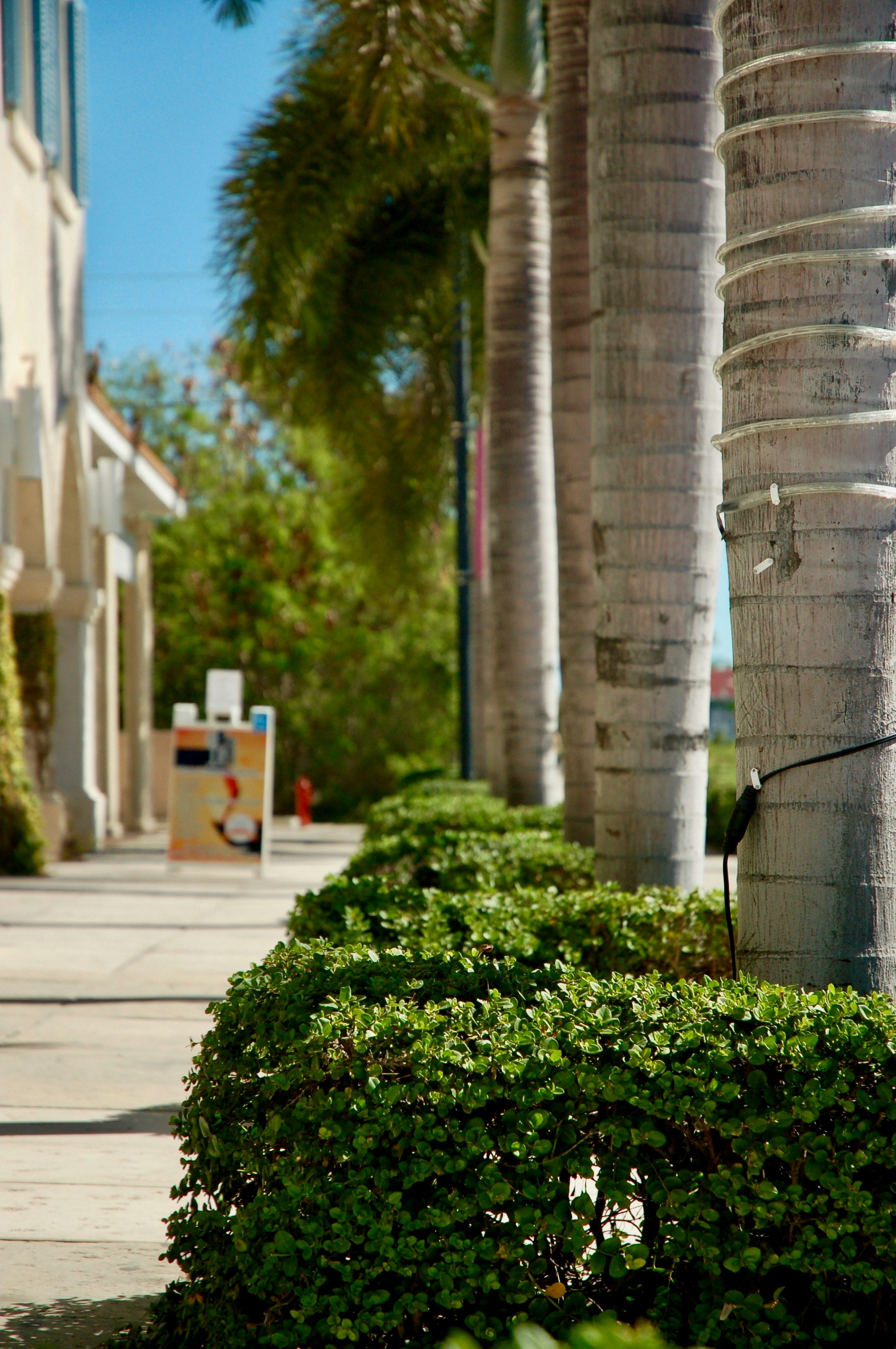 Free Unsplash photo from Max Liroff