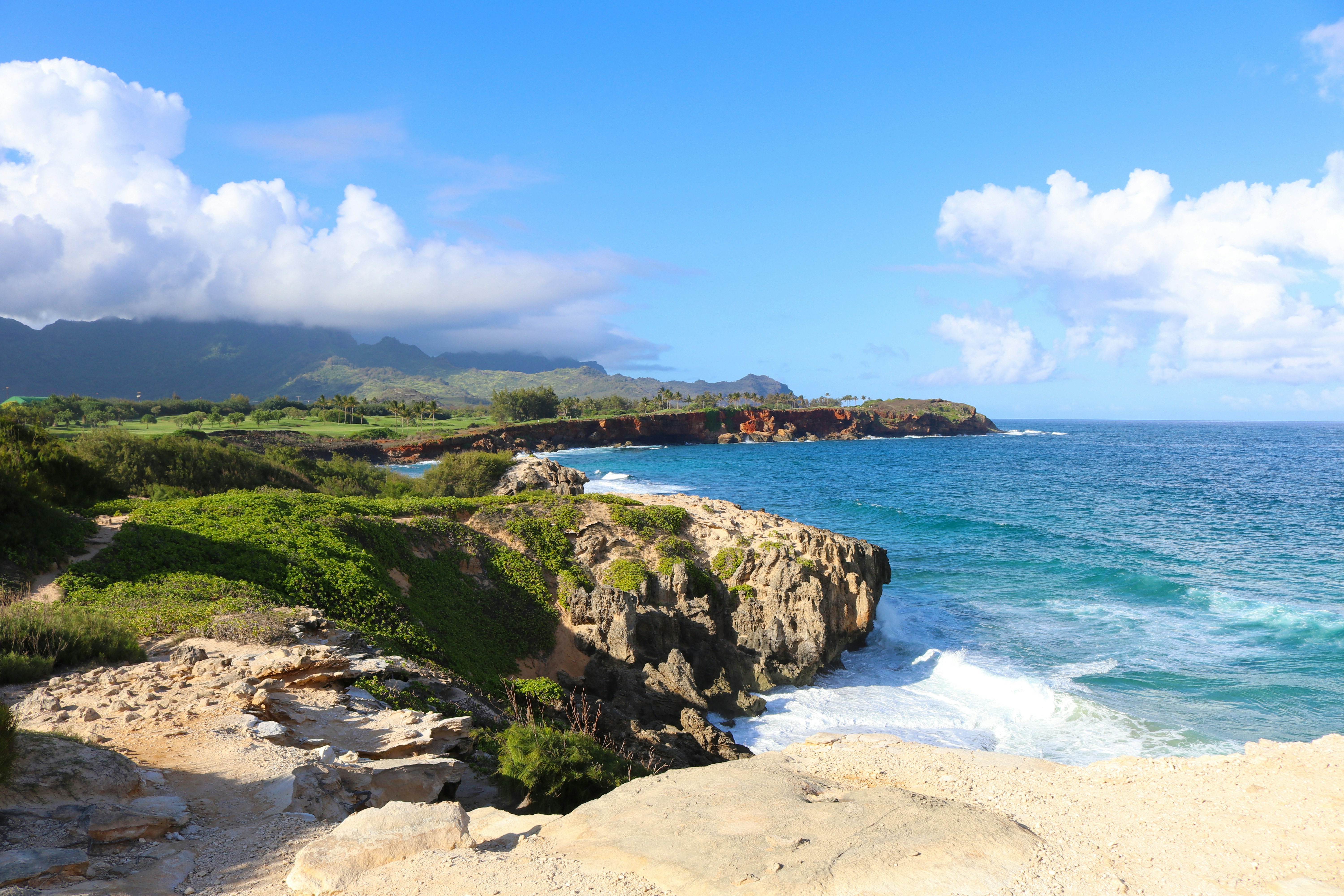 Free Unsplash photo from AL INEFX