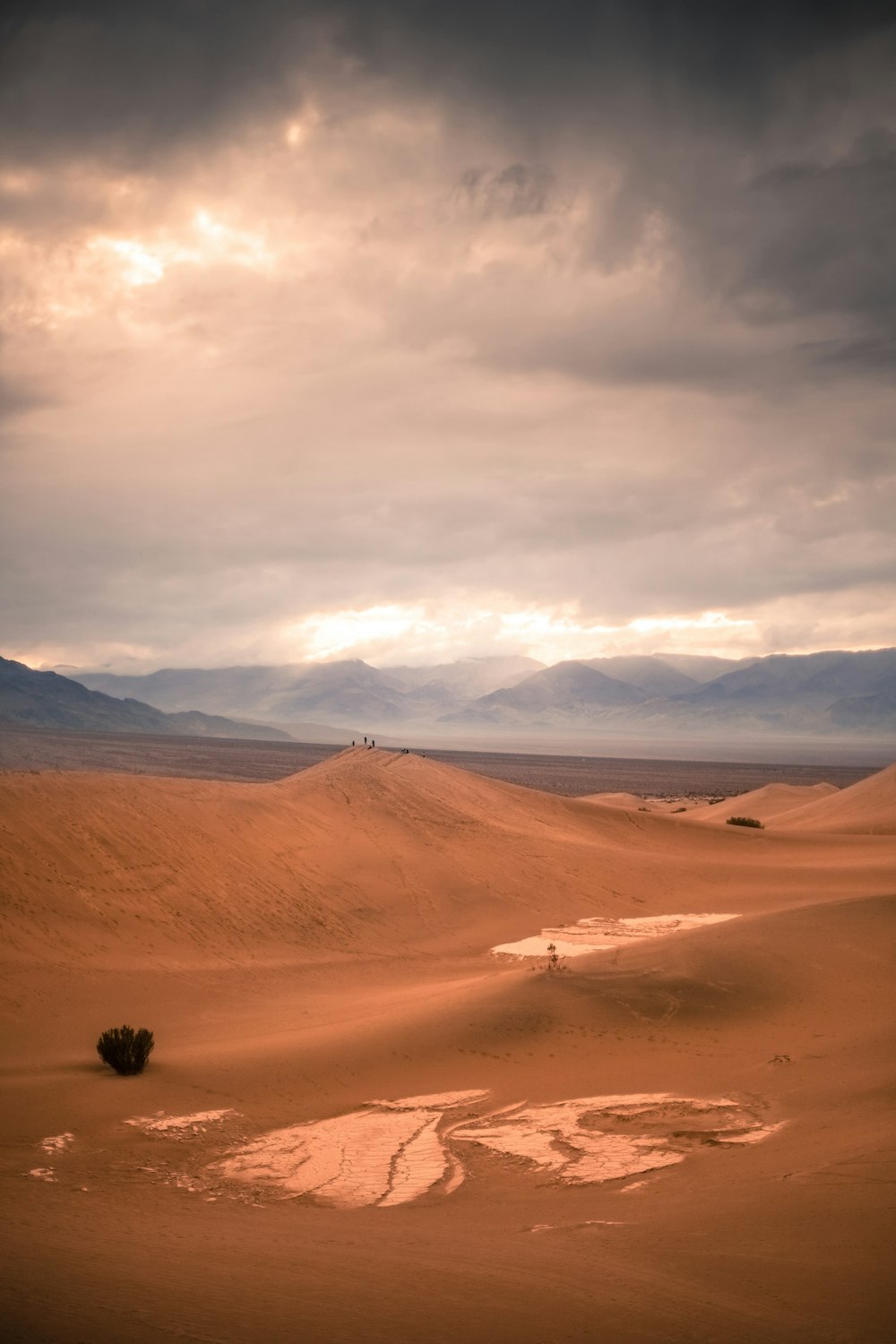 orange desert under gray cloudy sky at day