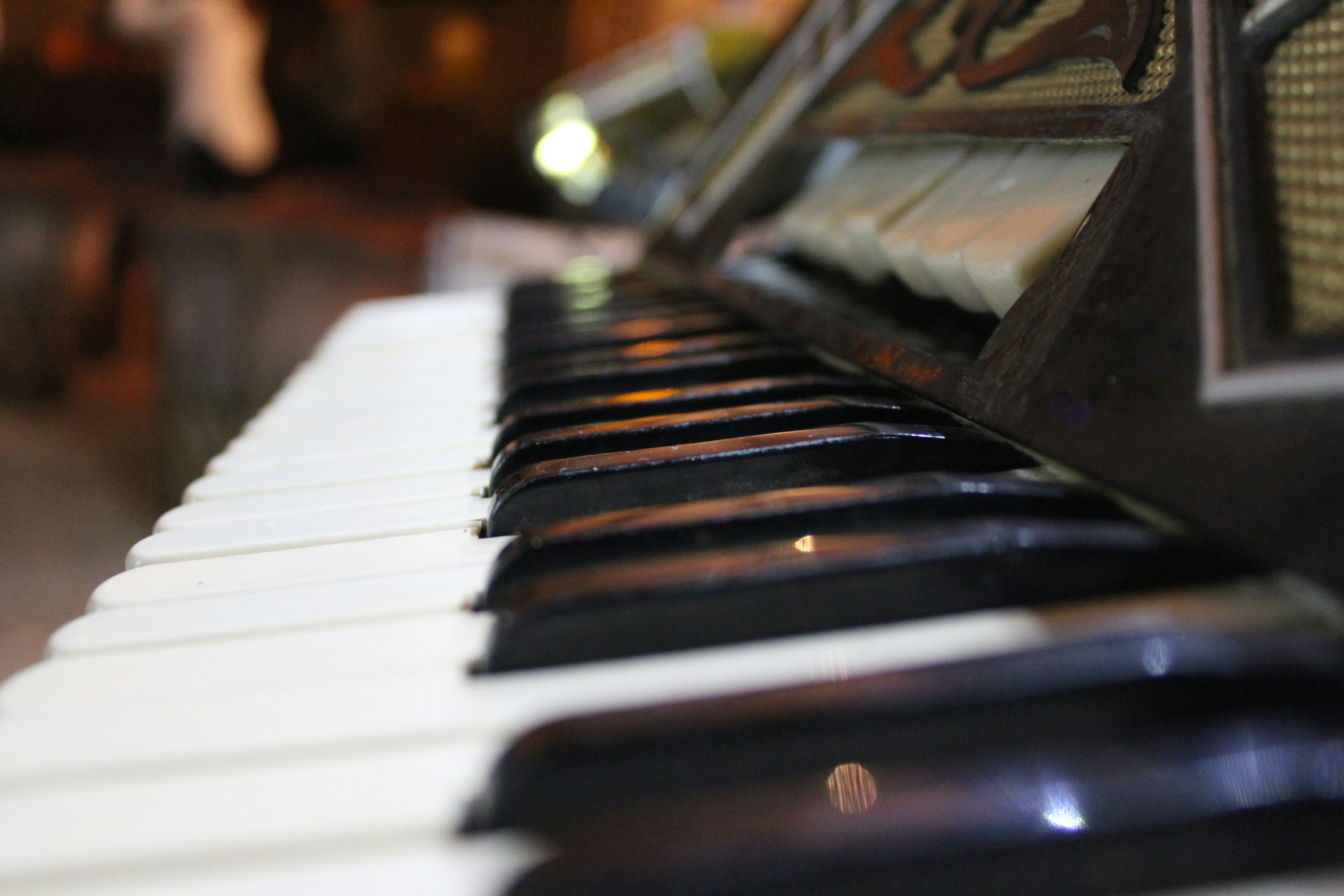 Free Unsplash photo from Camila Serey