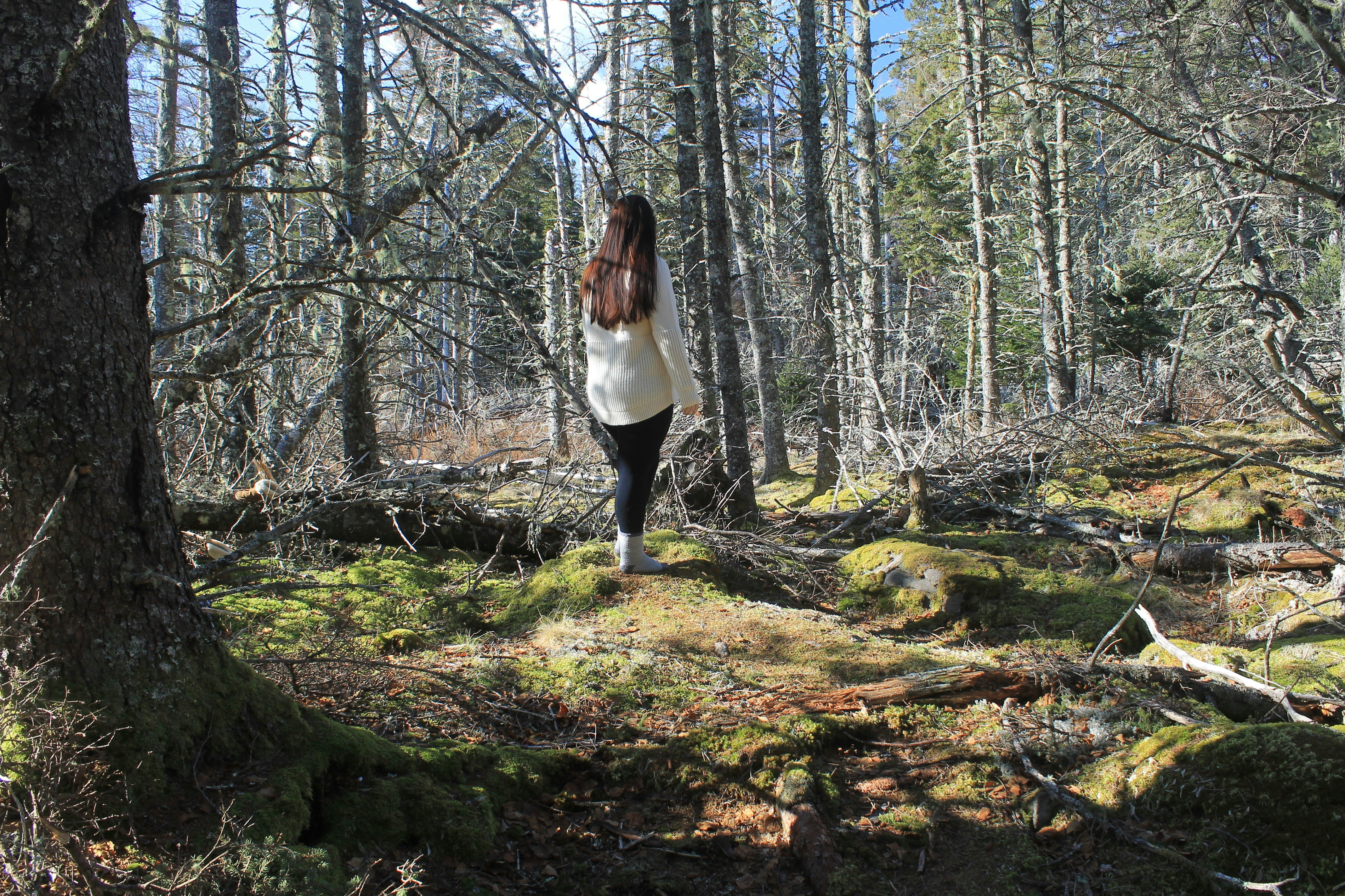 Free Unsplash photo from Atlas