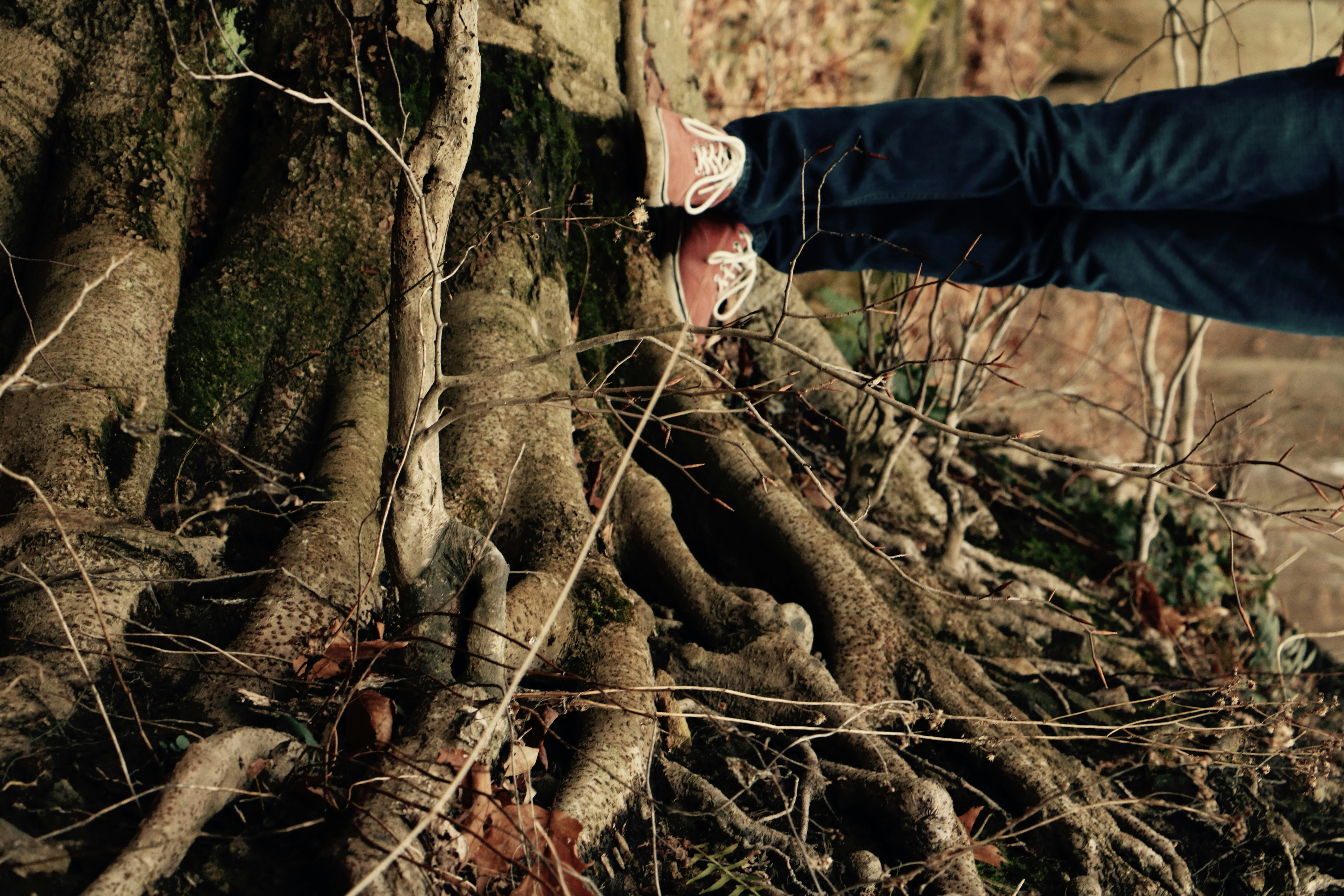 Free Unsplash photo from Andrew Walton