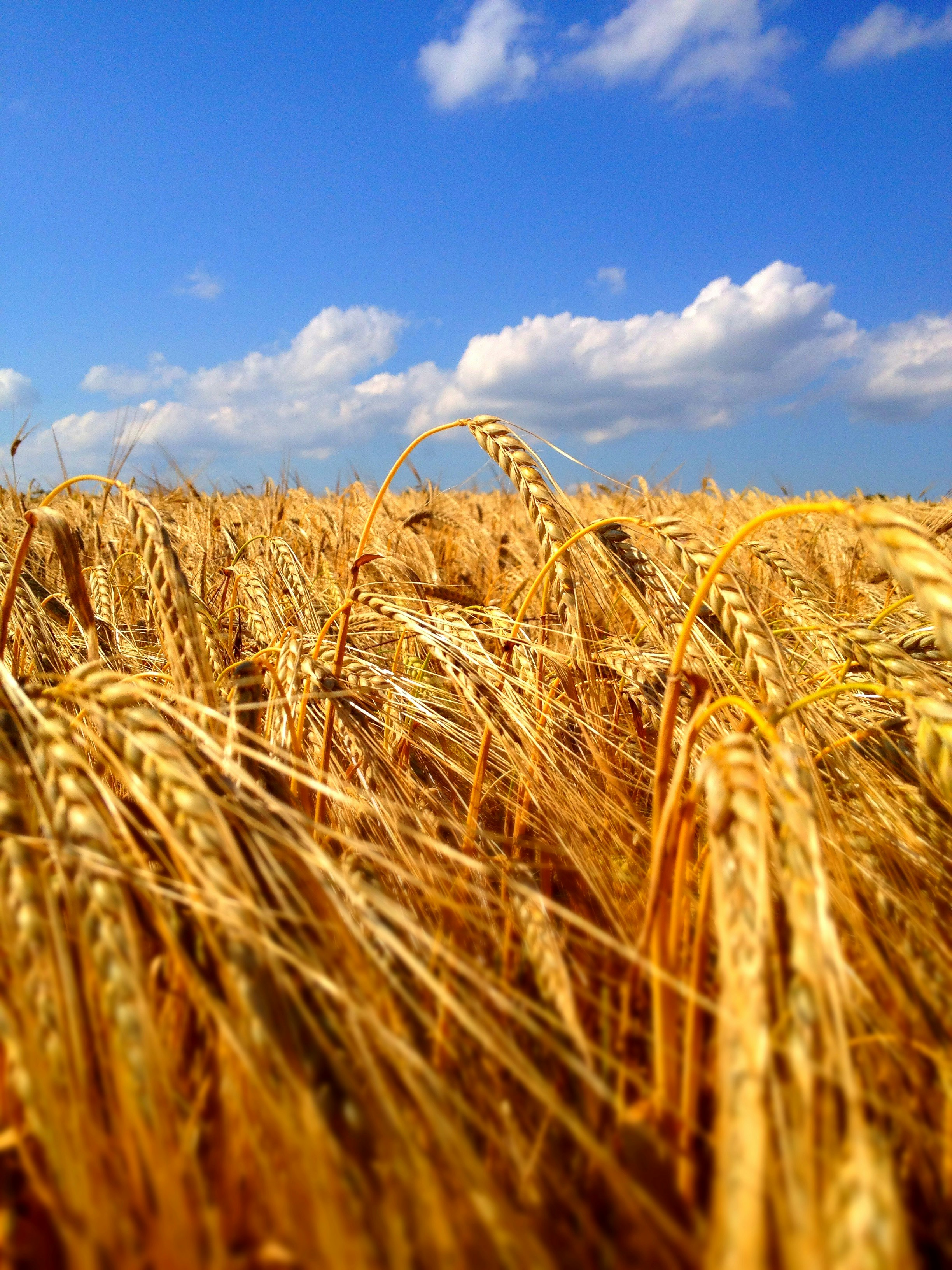 Free Unsplash photo from Adm Hrdy