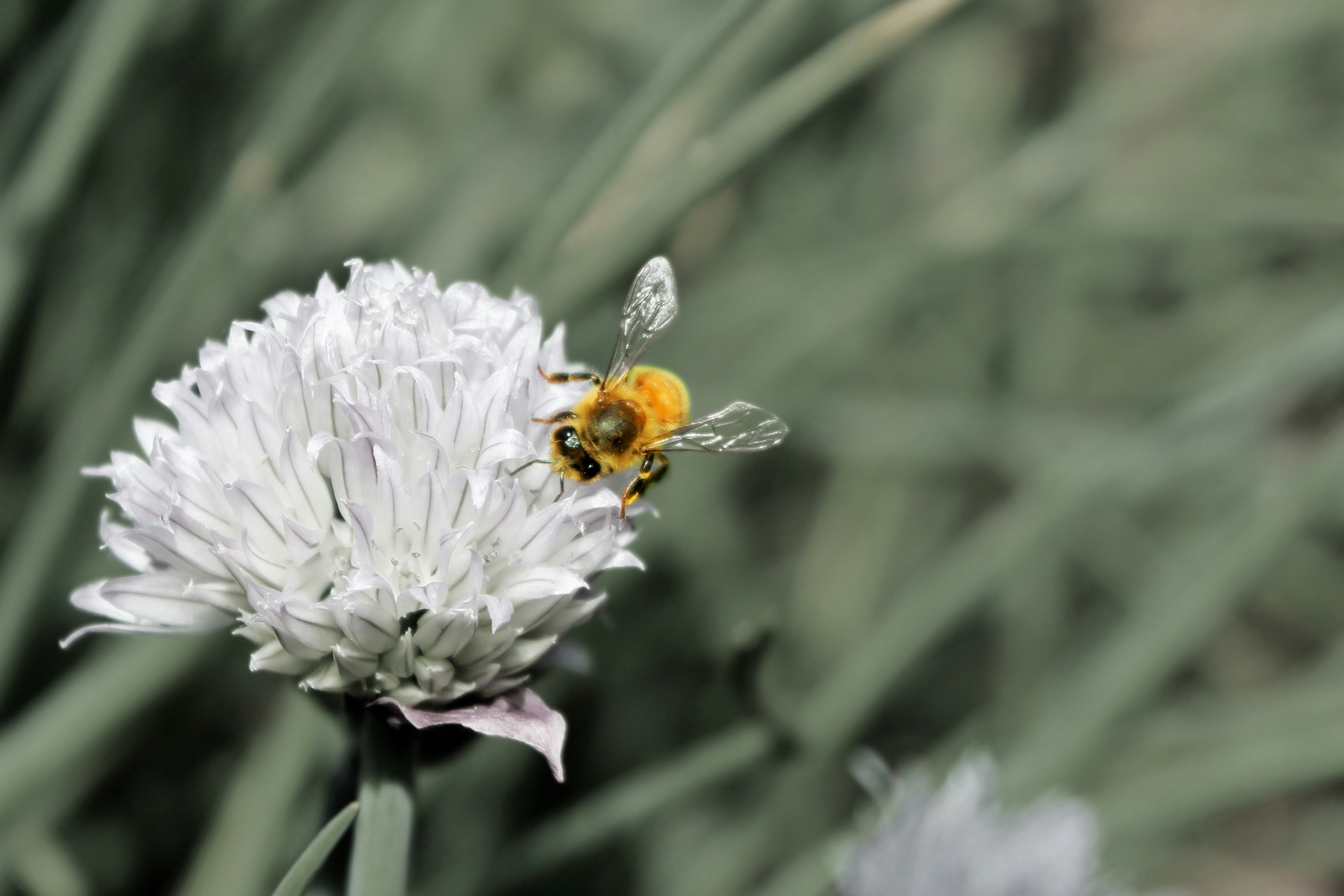 Free Unsplash photo from Tia Goddin