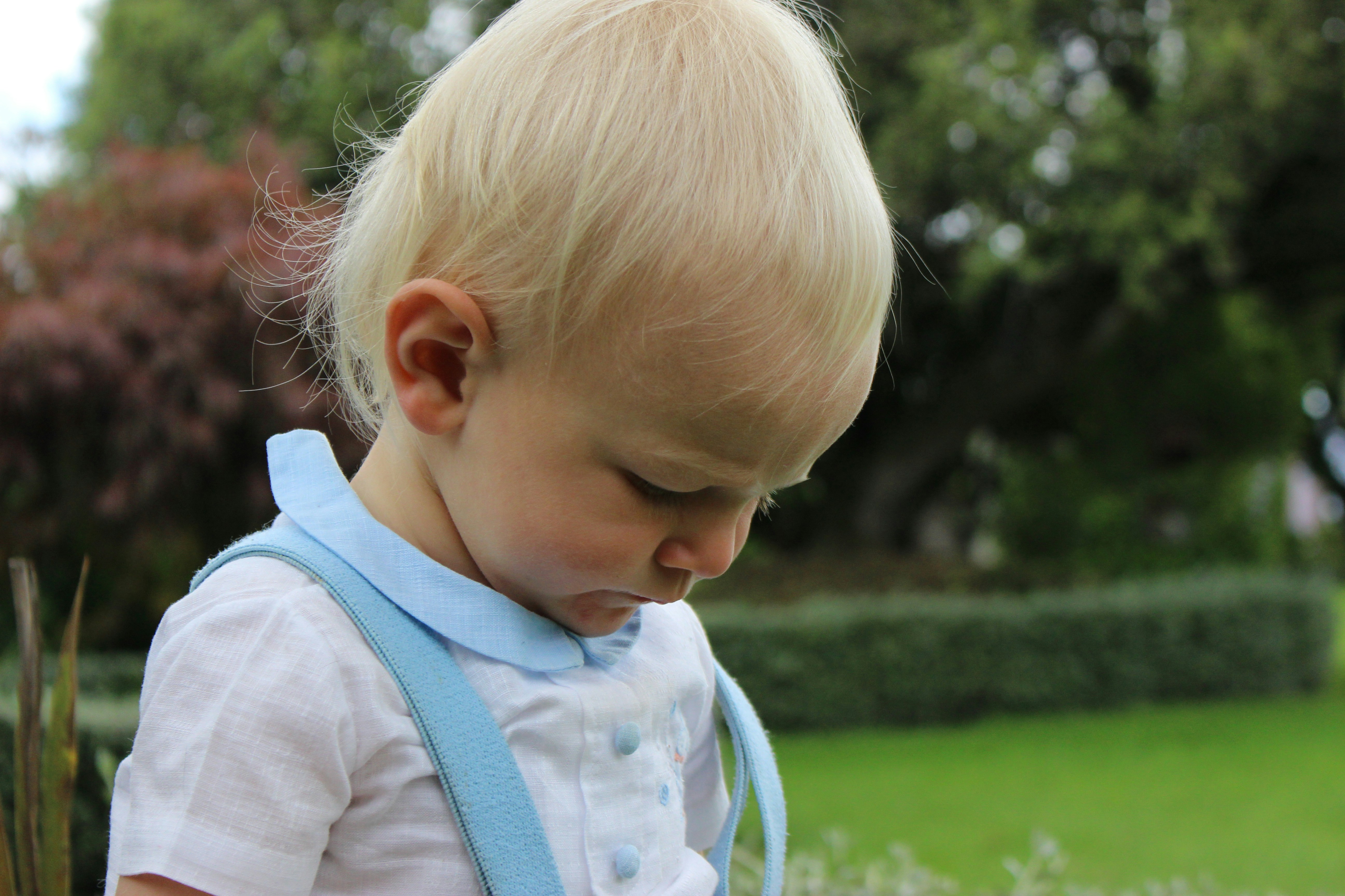 Free Unsplash photo from Tia Goddin