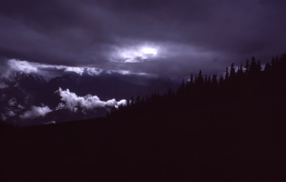 silhouette photo of mountain range with trees