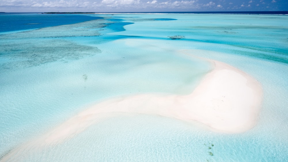 beach shore beside body of water