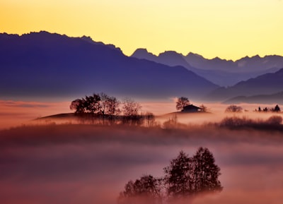 aerial photo of foggy trees and mountains misty google meet background