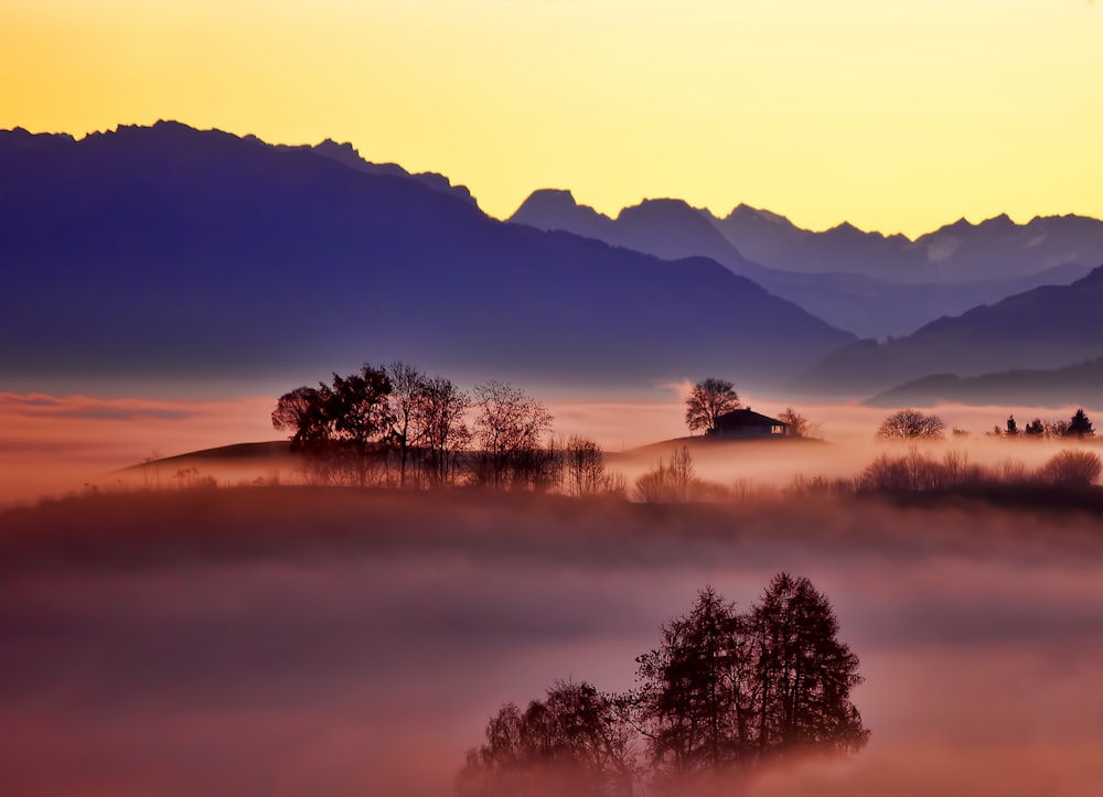 aerial photo of foggy trees and mountains