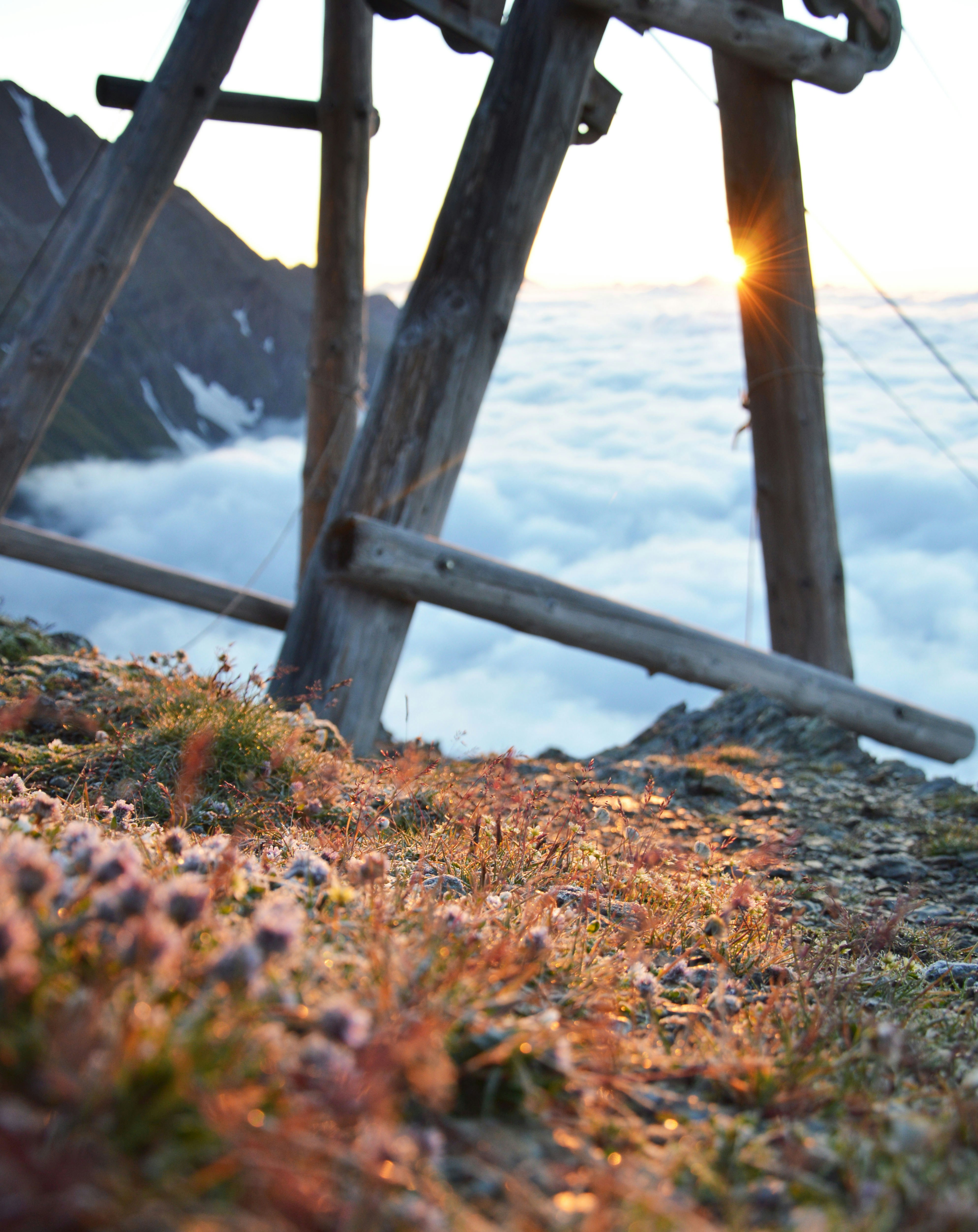 Free Unsplash photo from Linda Schwarz