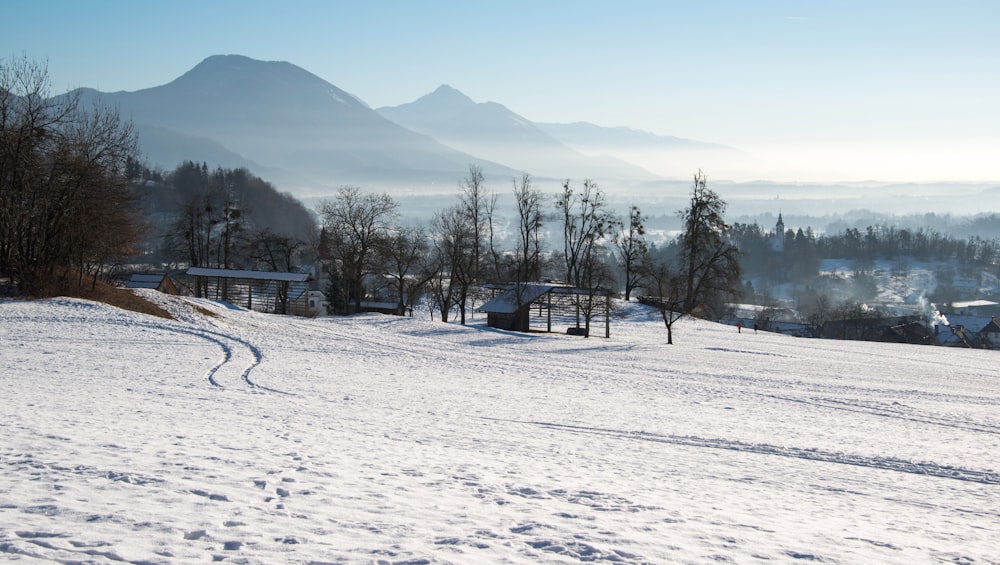 snow covered field during daytme