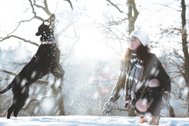 A person wearing a winter outfit, including a beanie and scarf, is crouching in the snow, smiling at a black dog that is jumping and playing with snowflakes. The bright sunlight shines through bare tree branches, creating a backlit, whimsical effect in the background.