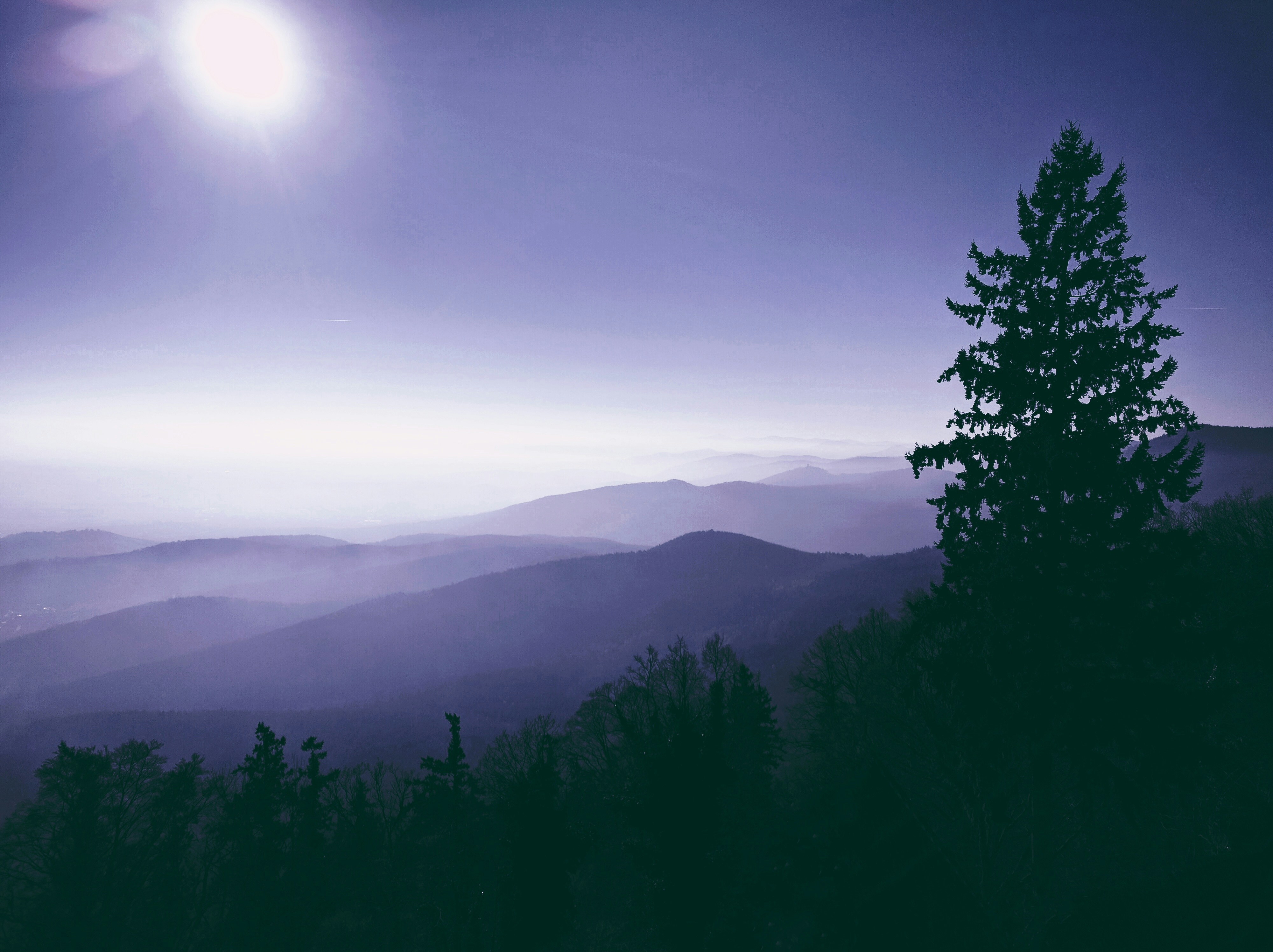 Free Unsplash photo from Rob Moore