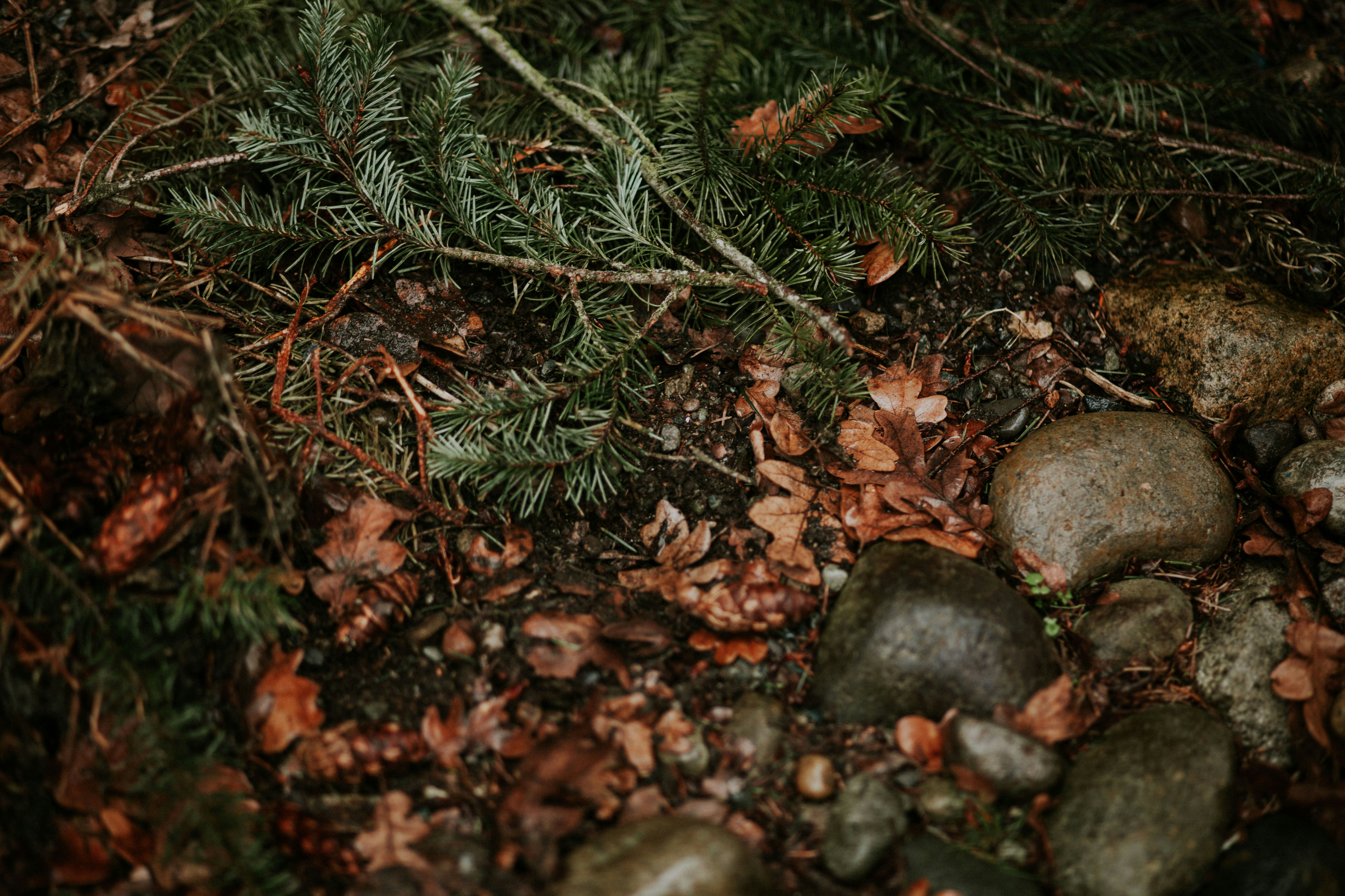 Free Unsplash photo from Kevin Hernandez