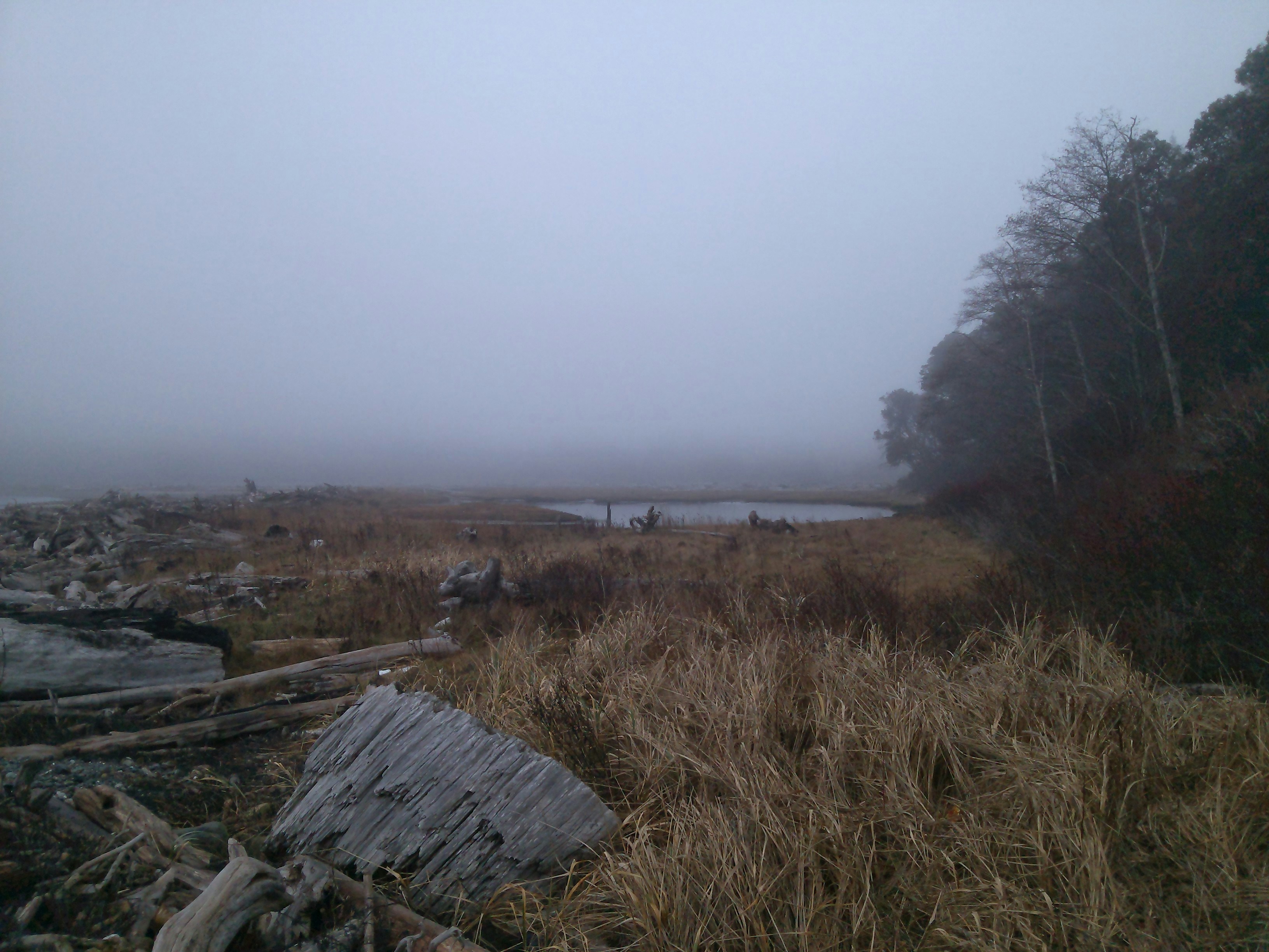 Free Unsplash photo from philip borgnes