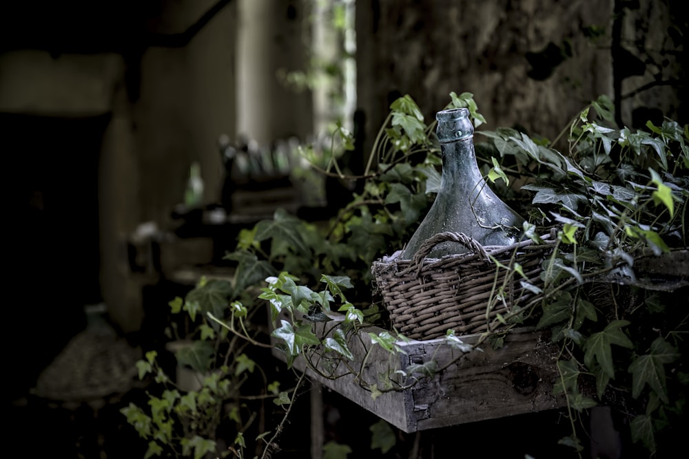 clear glass bottle on brown wicker basket