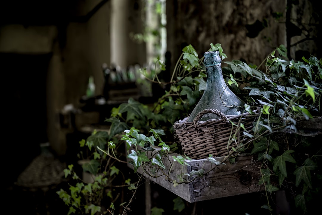 clear glass bottle on brown wicker basket