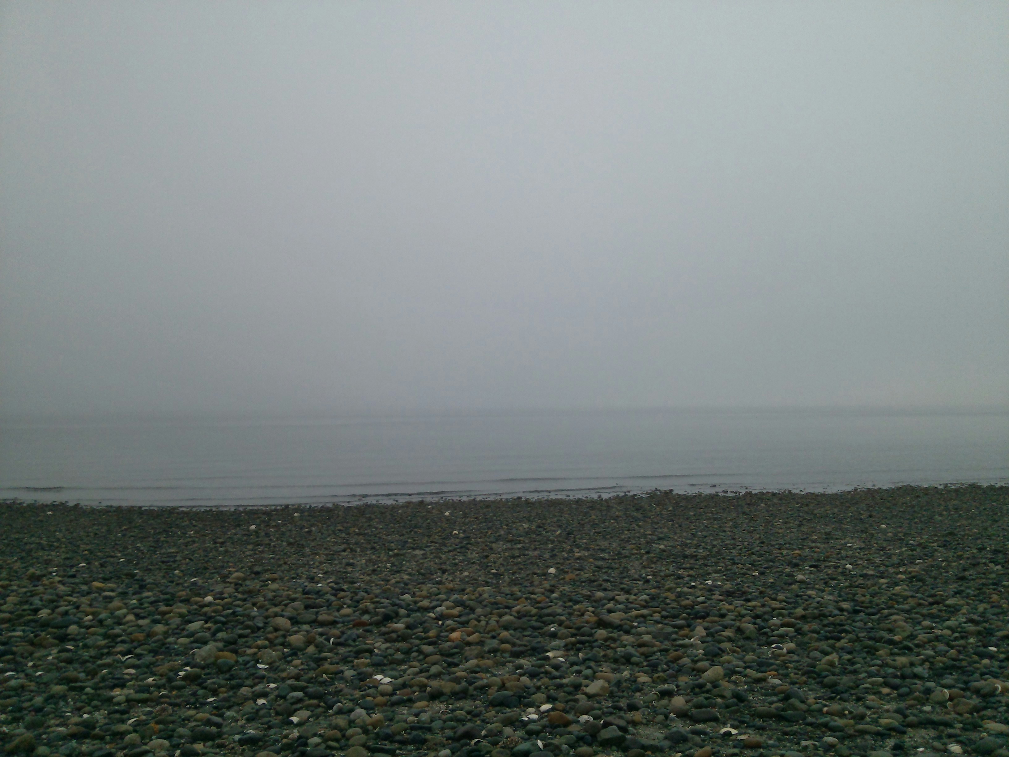 Free Unsplash photo from philip borgnes