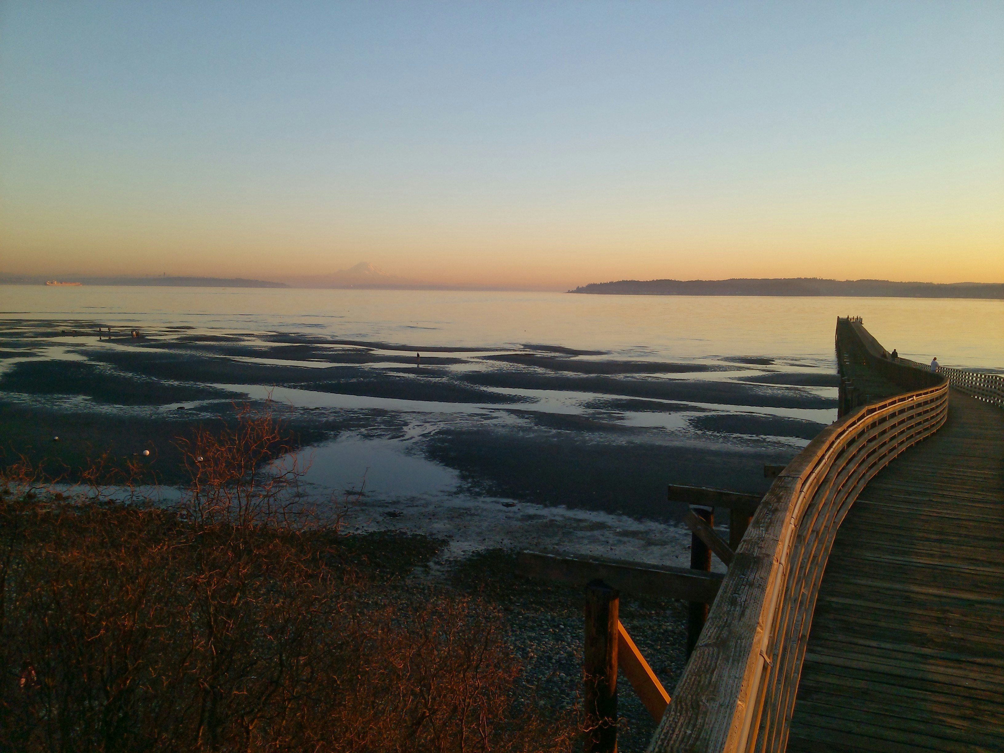 Free Unsplash photo from philip borgnes