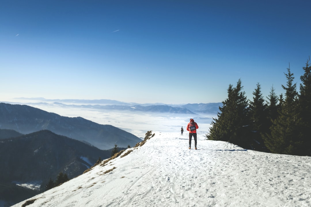 person standing on top of mountain covered by snow