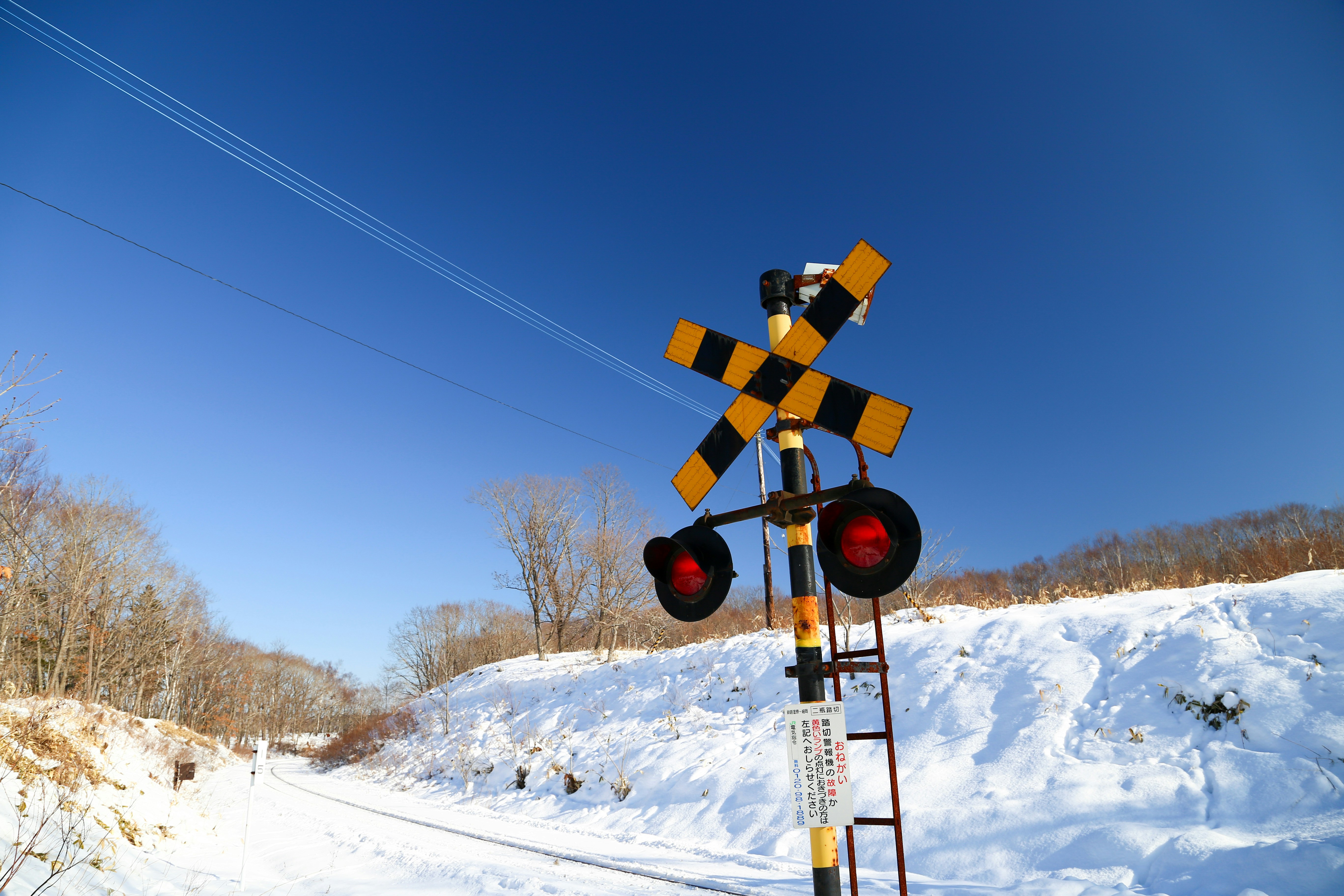 Free Unsplash photo from Steven Su