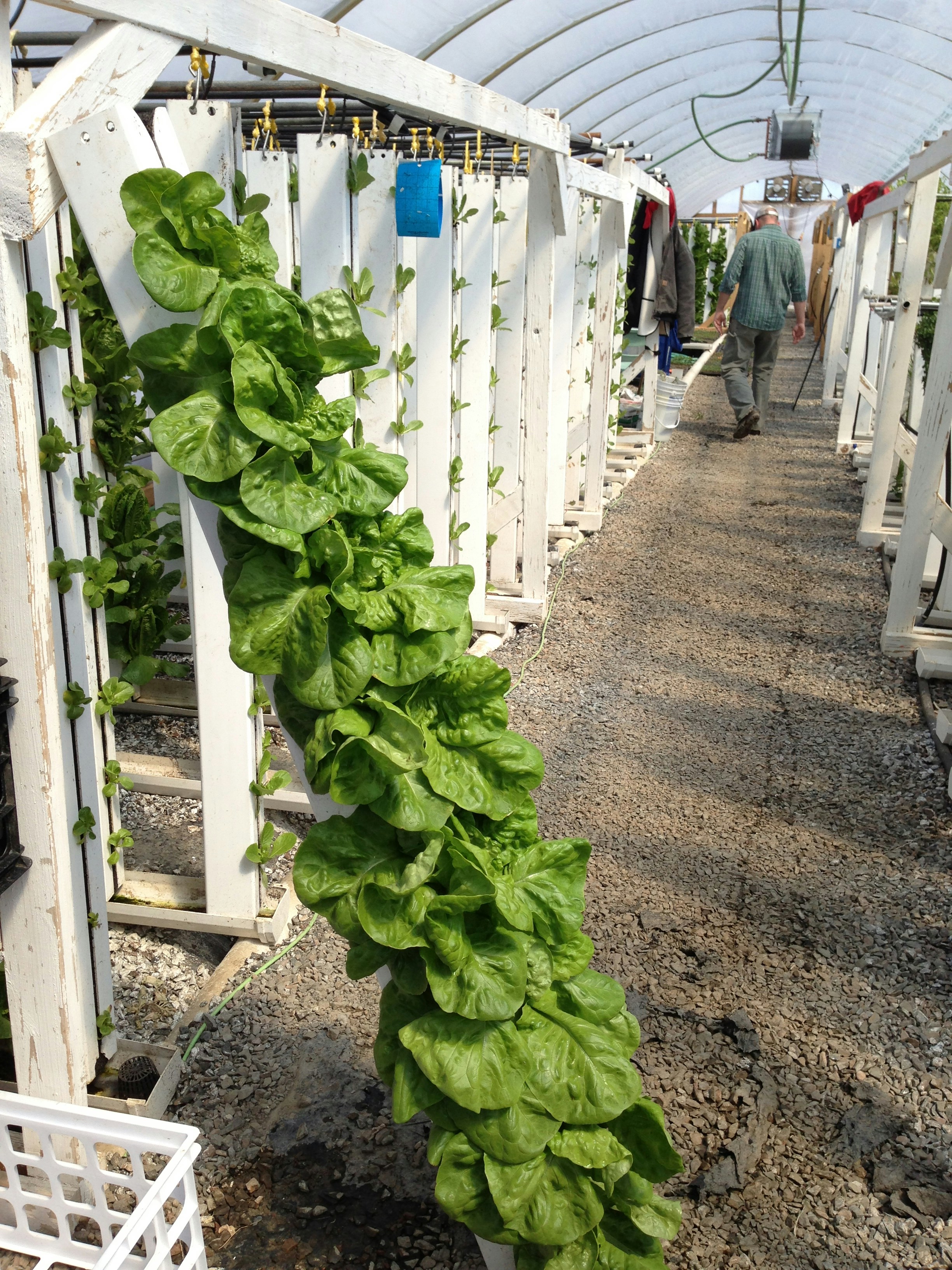 Free Unsplash photo from Bright  Agrotech