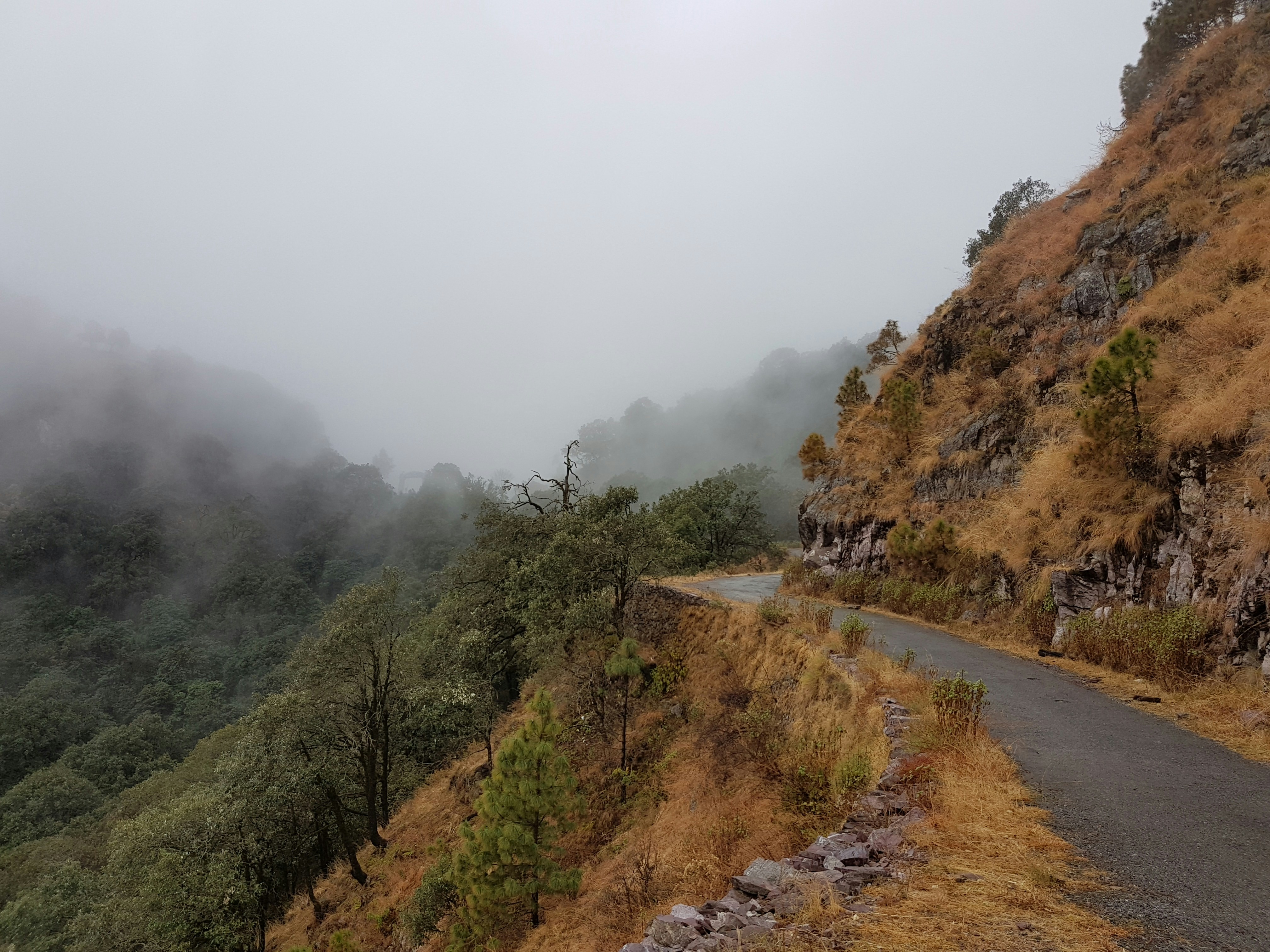 Free Unsplash photo from Saurav Ghosh