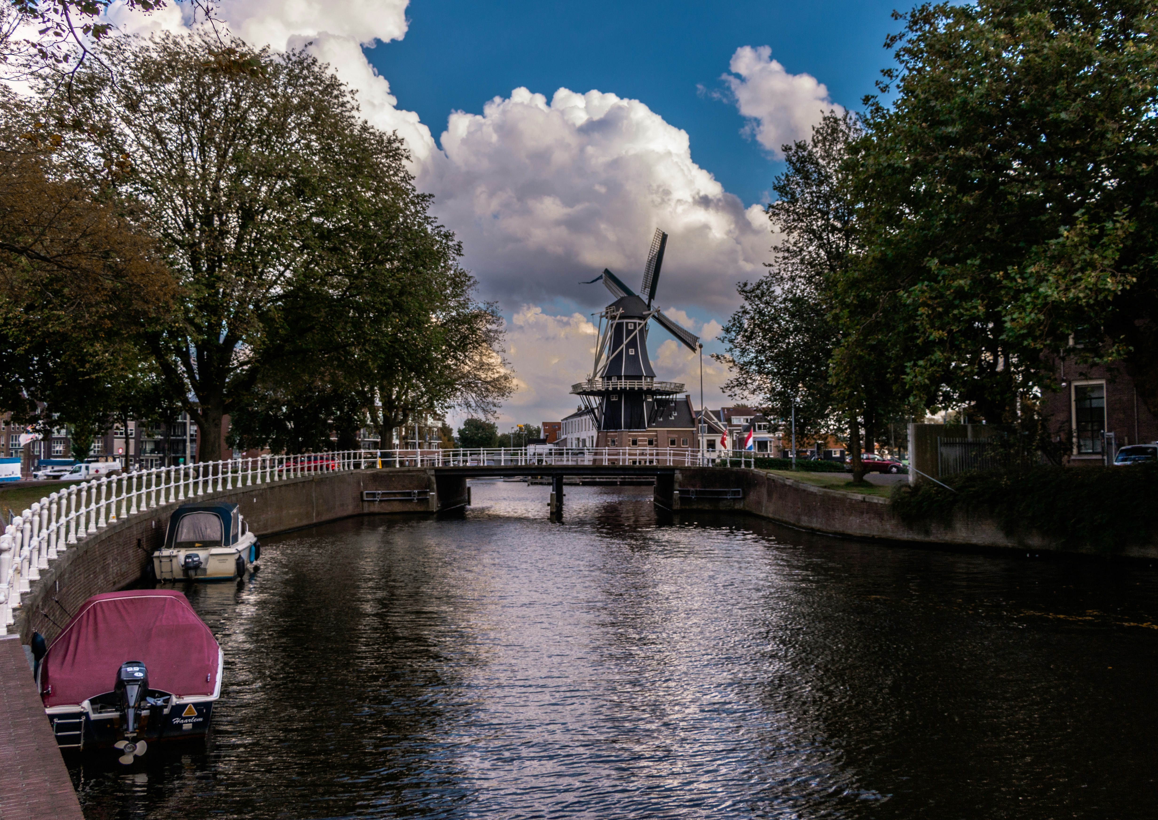 Free Unsplash photo from Toni He