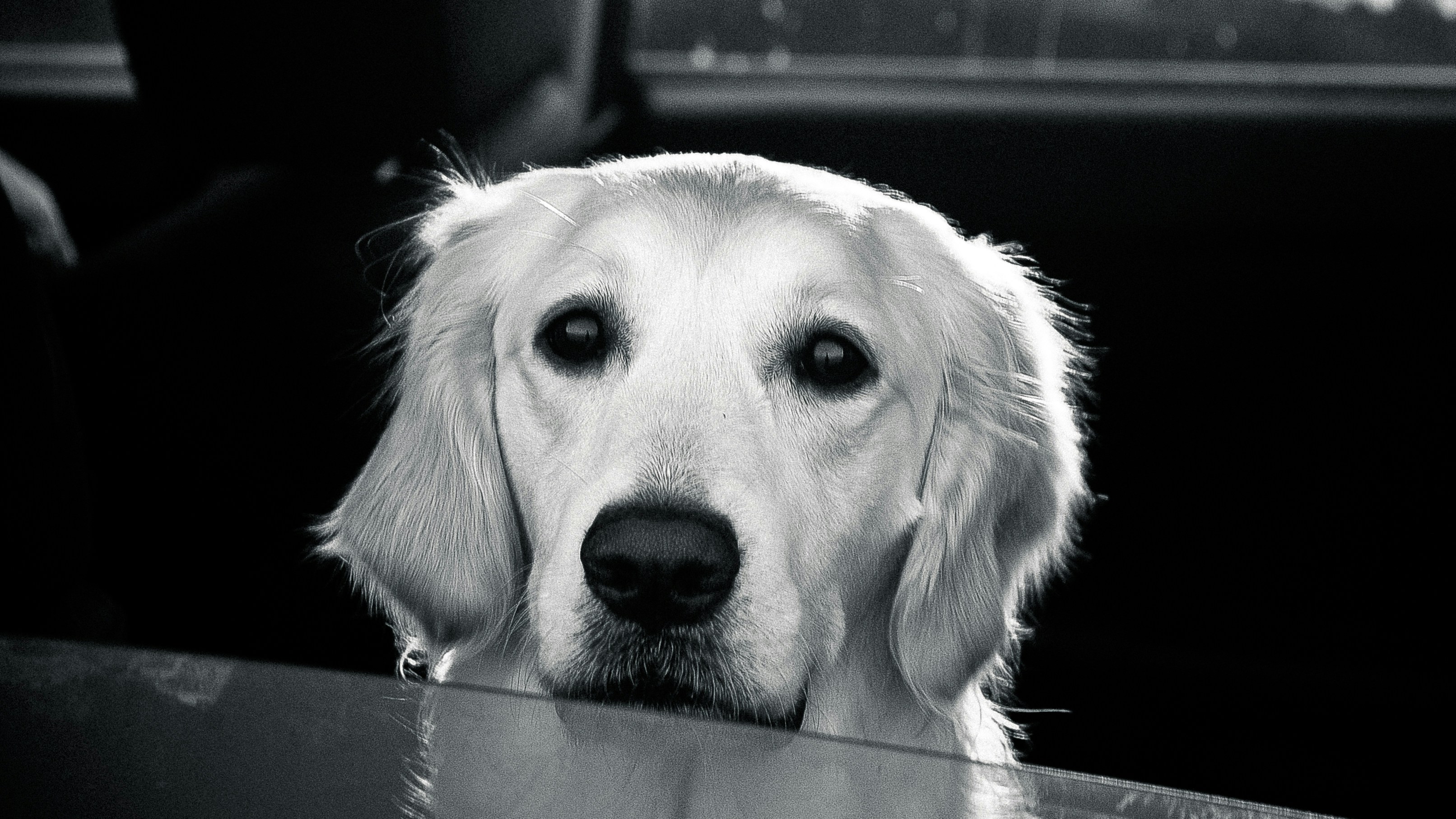 Free Unsplash photo from JJ Ying