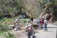 A group of men is gathered around a large fallen tree blocking a narrow road. One man is standing on the trunk of the tree, while others are standing nearby or working. There is a red motorcycle parked in the foreground and trucks can be seen in the background. The scene is set in a forested area with a mix of green foliage and dry terrain.