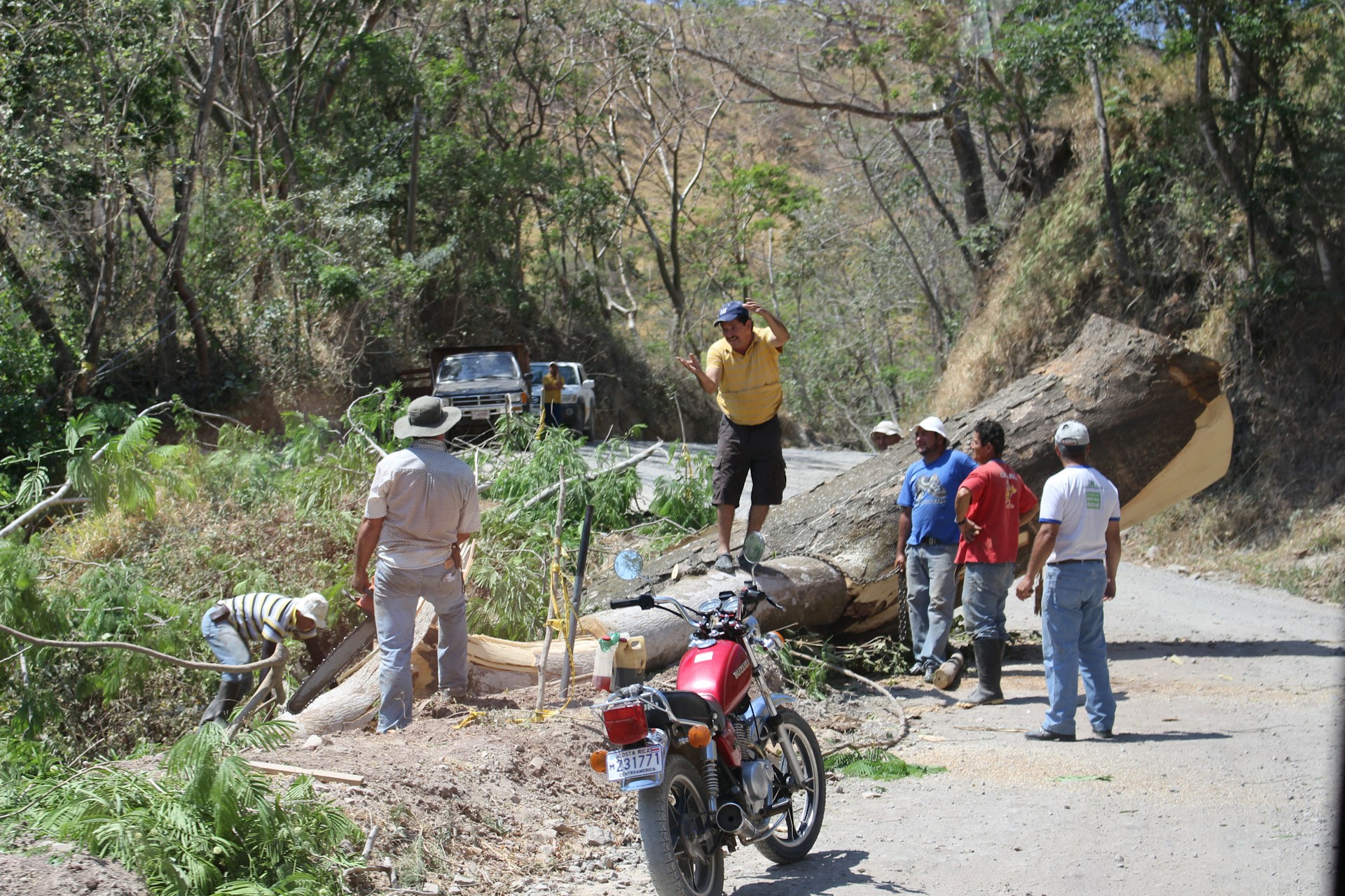 woman wearing yellow long-sleeved dress under white clouds and blue sky during daytime