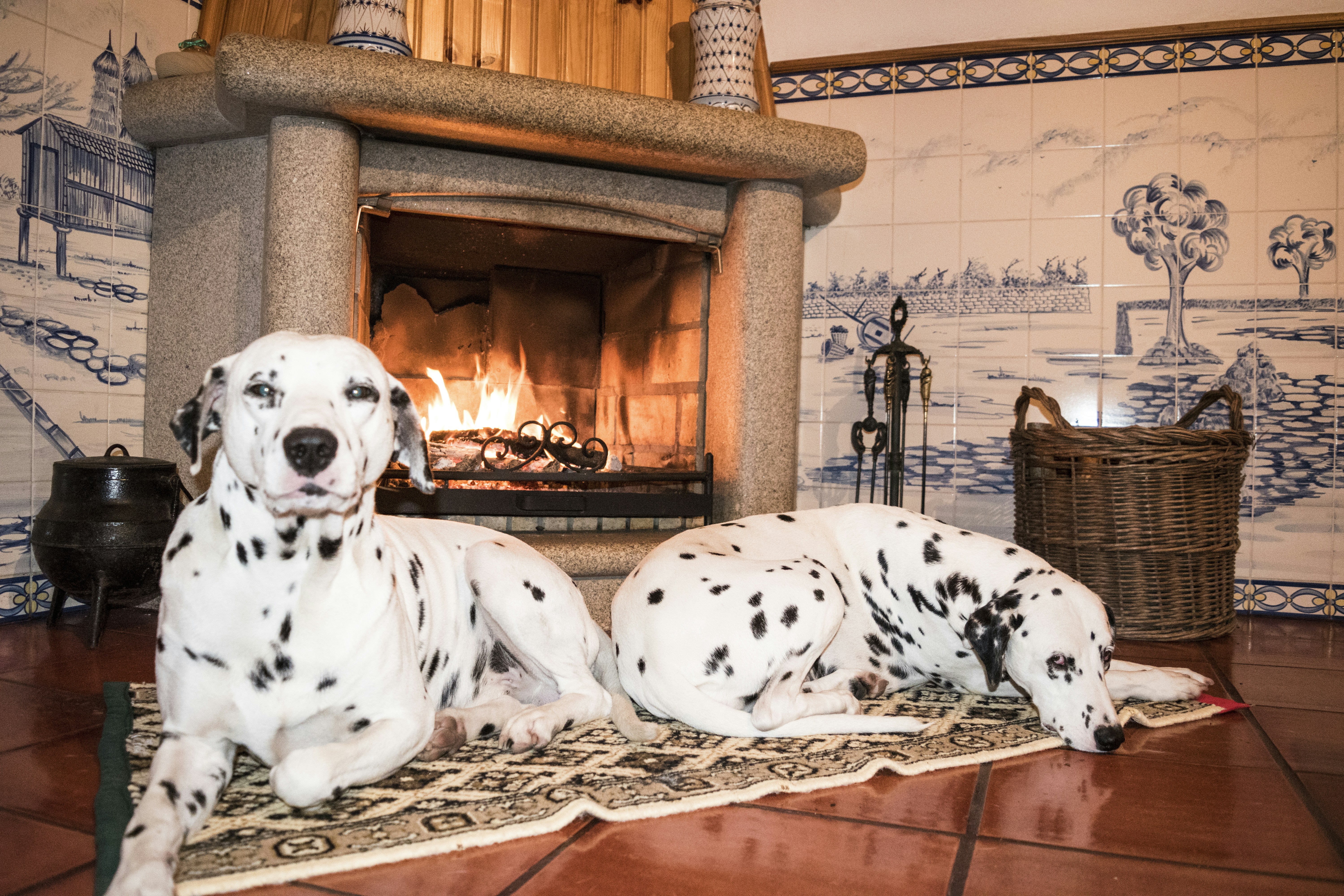 Free Unsplash photo from Márcio Vilar