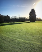 Bright morning light casting long shadows over a quiet golf course.