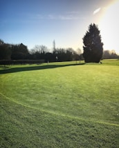 A friendly group of golfers chatting on the green in warm sunlight.