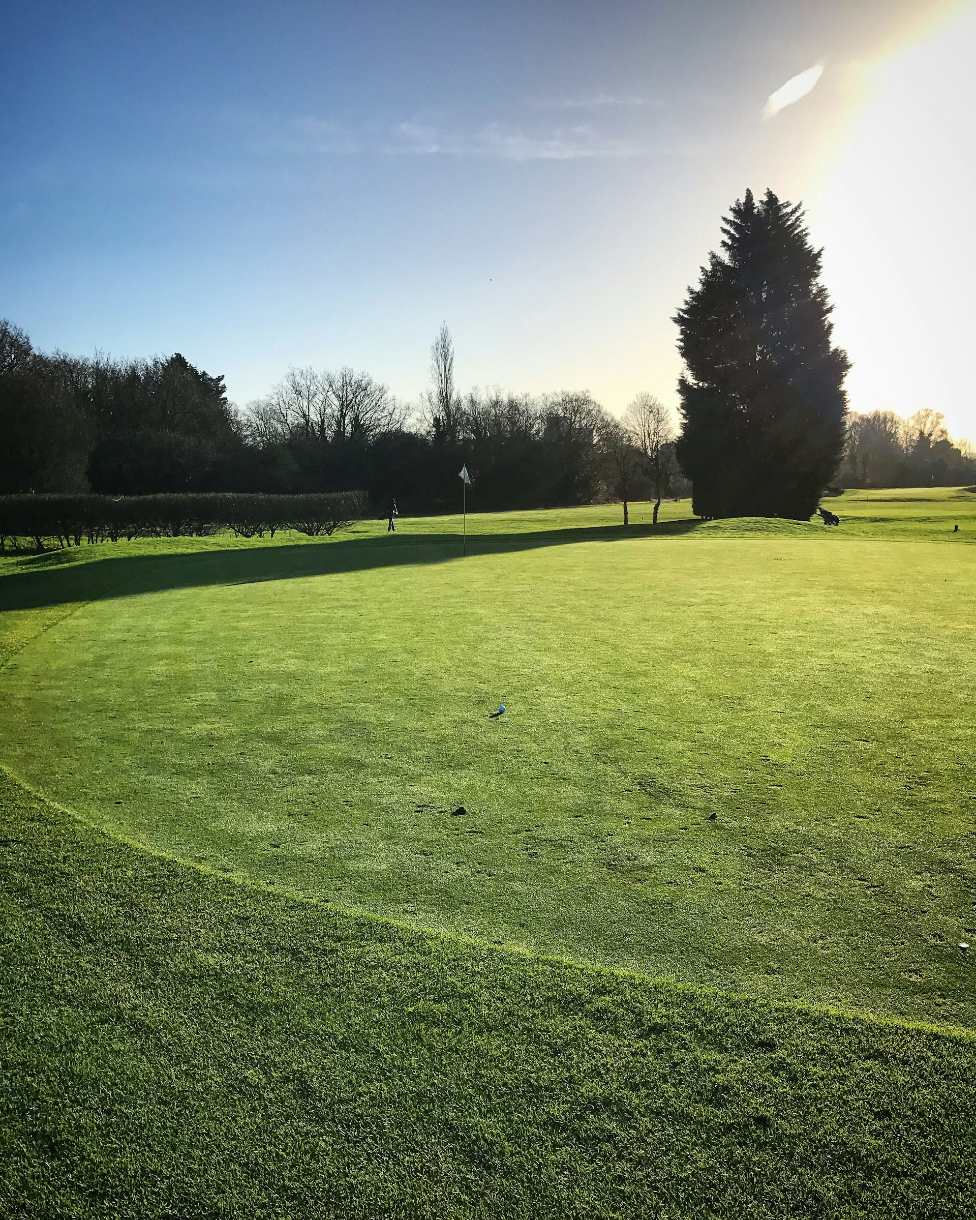 A serene golf course at sunrise with dew-covered grass and a clear blue sky.