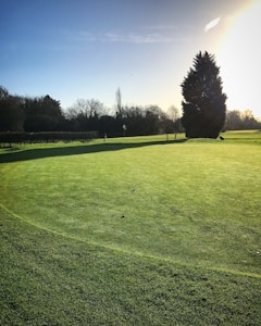 A serene golf course with a well-maintained green in the foreground, surrounded by lush trees and under a clear blue sky. The sunlight creates long shadows and illuminates the scene with a warm glow.