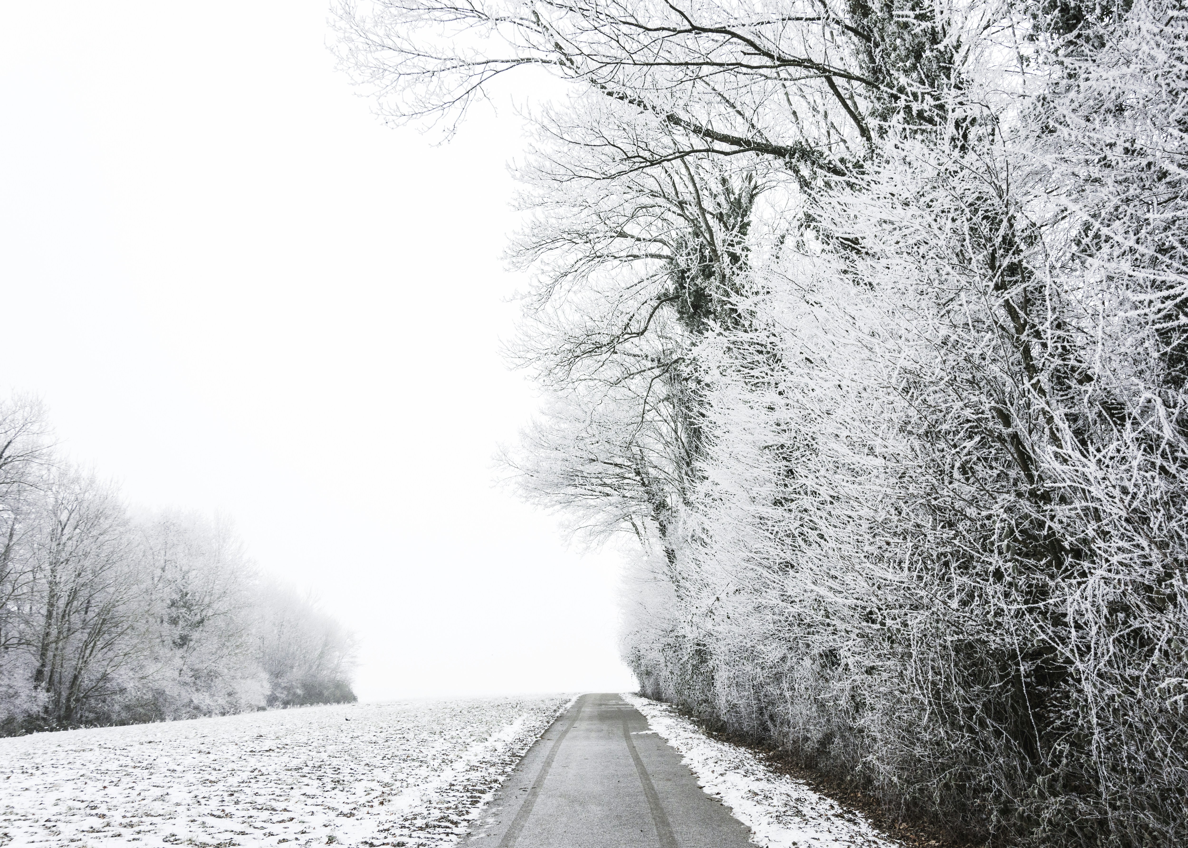 نرم افزار طراحی سایت open element