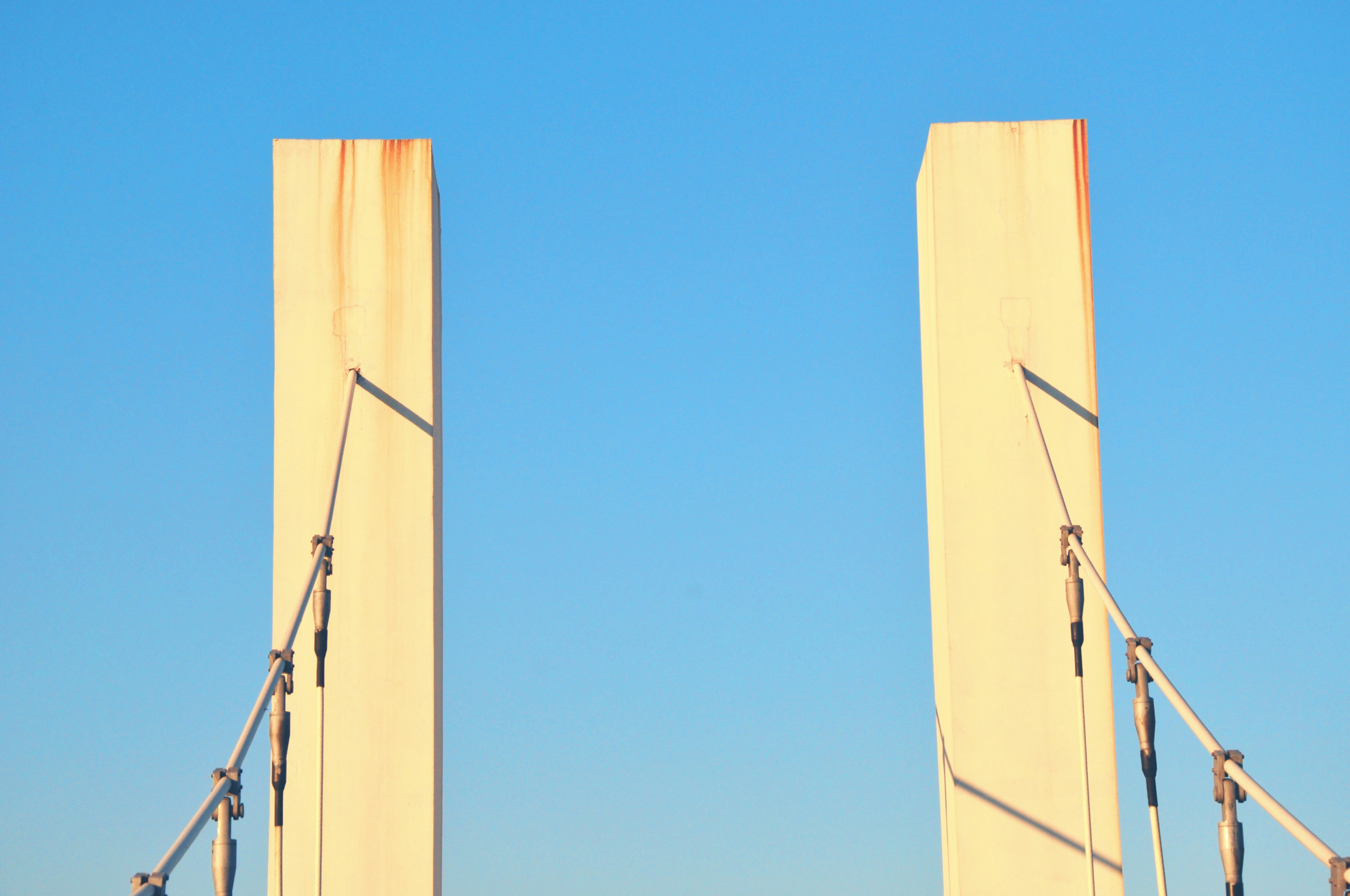 Free Unsplash photo from Ansel Tung