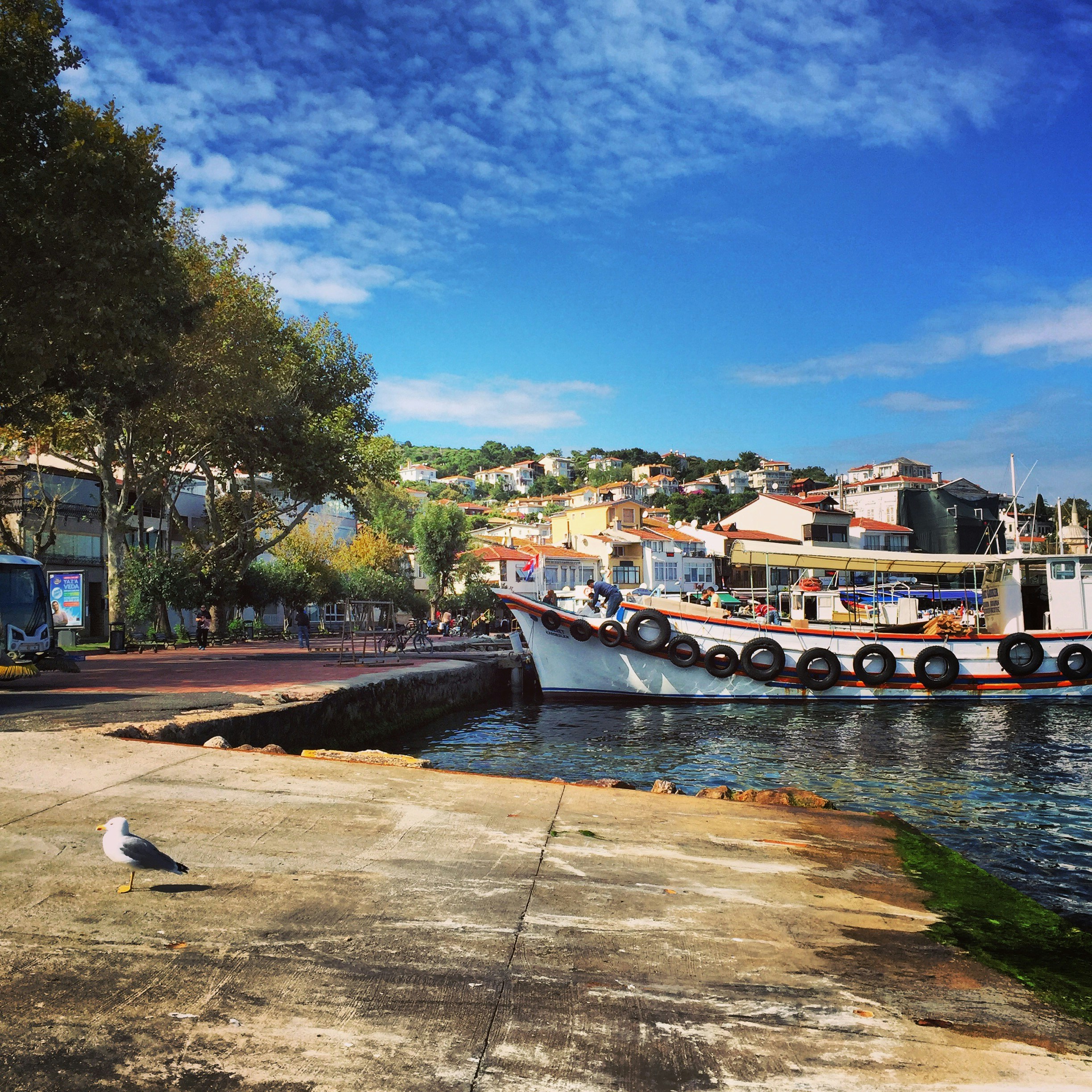 Free Unsplash photo from Şenel Kim