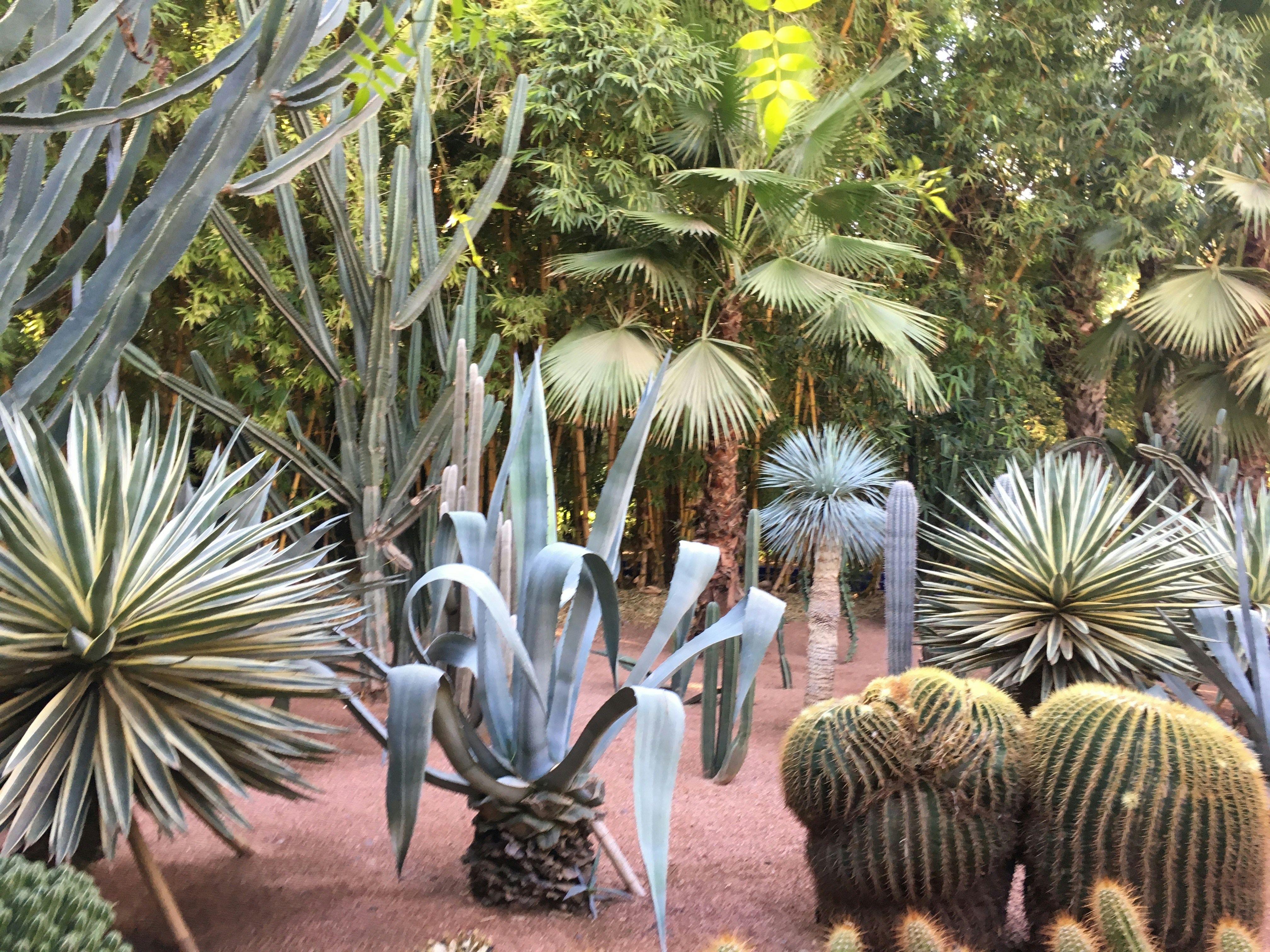 Free Unsplash photo from José Enrique