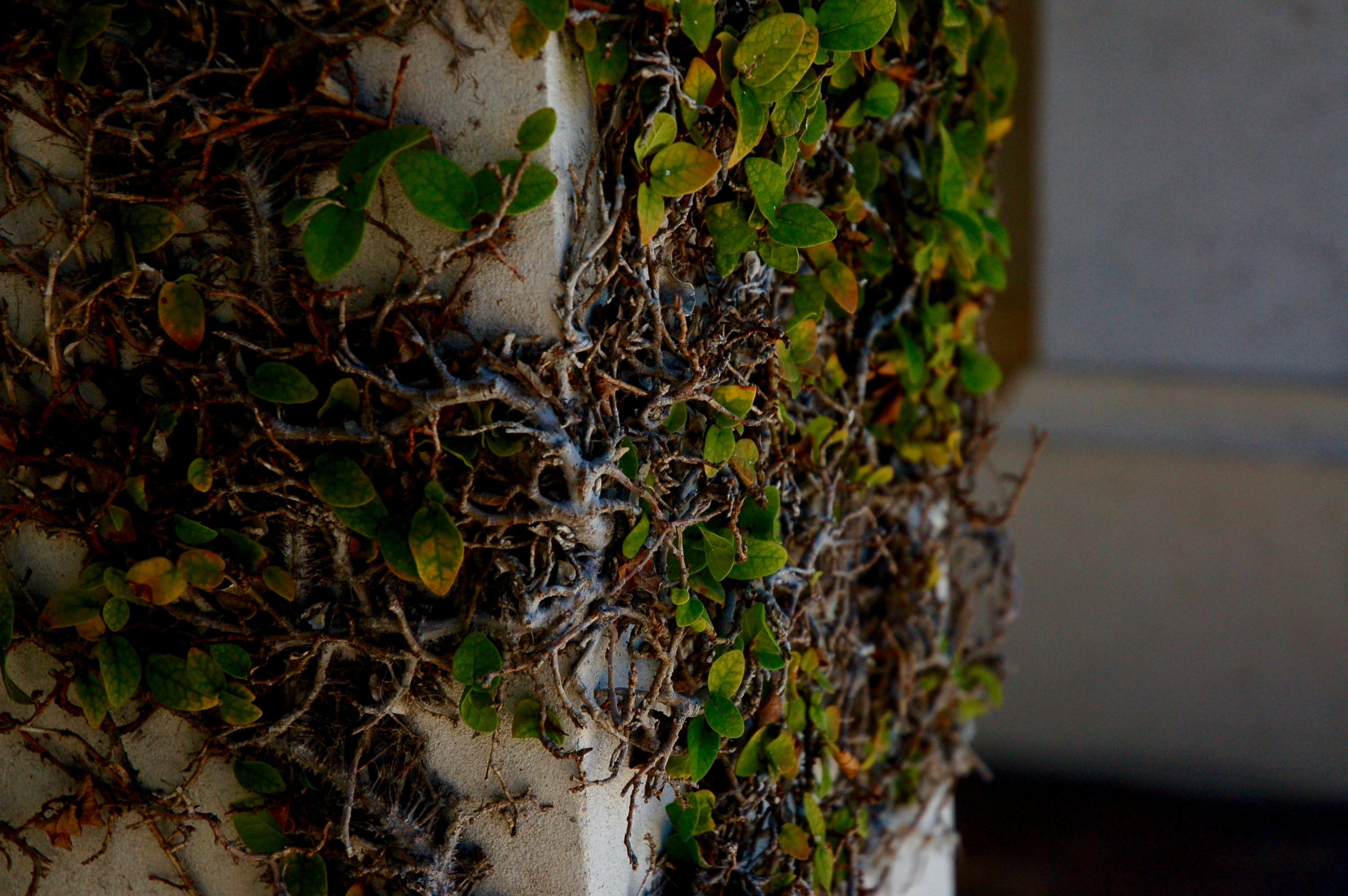 Free Unsplash photo from Max Liroff