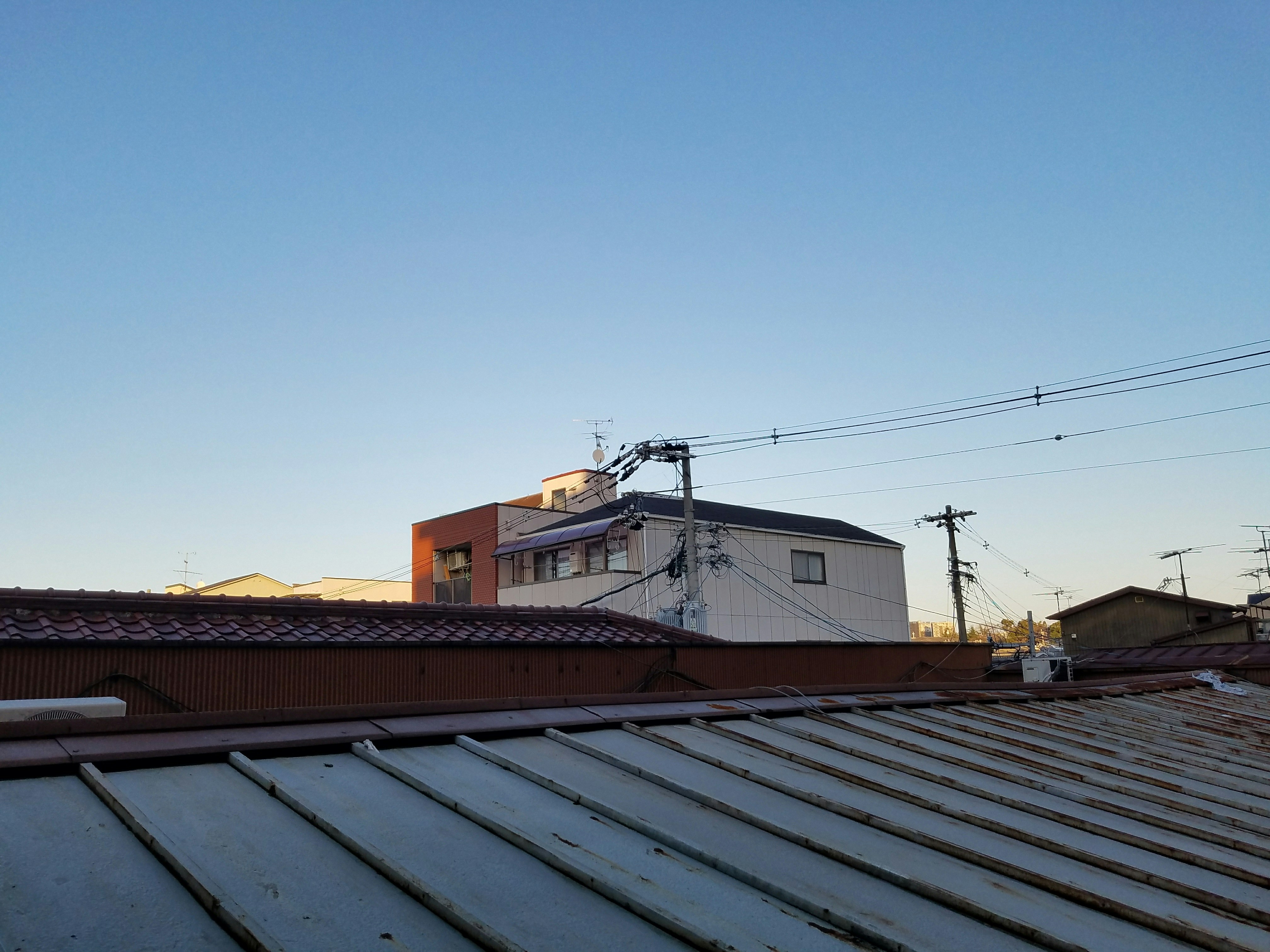 Free Unsplash photo from Sam Lam Chin Pong