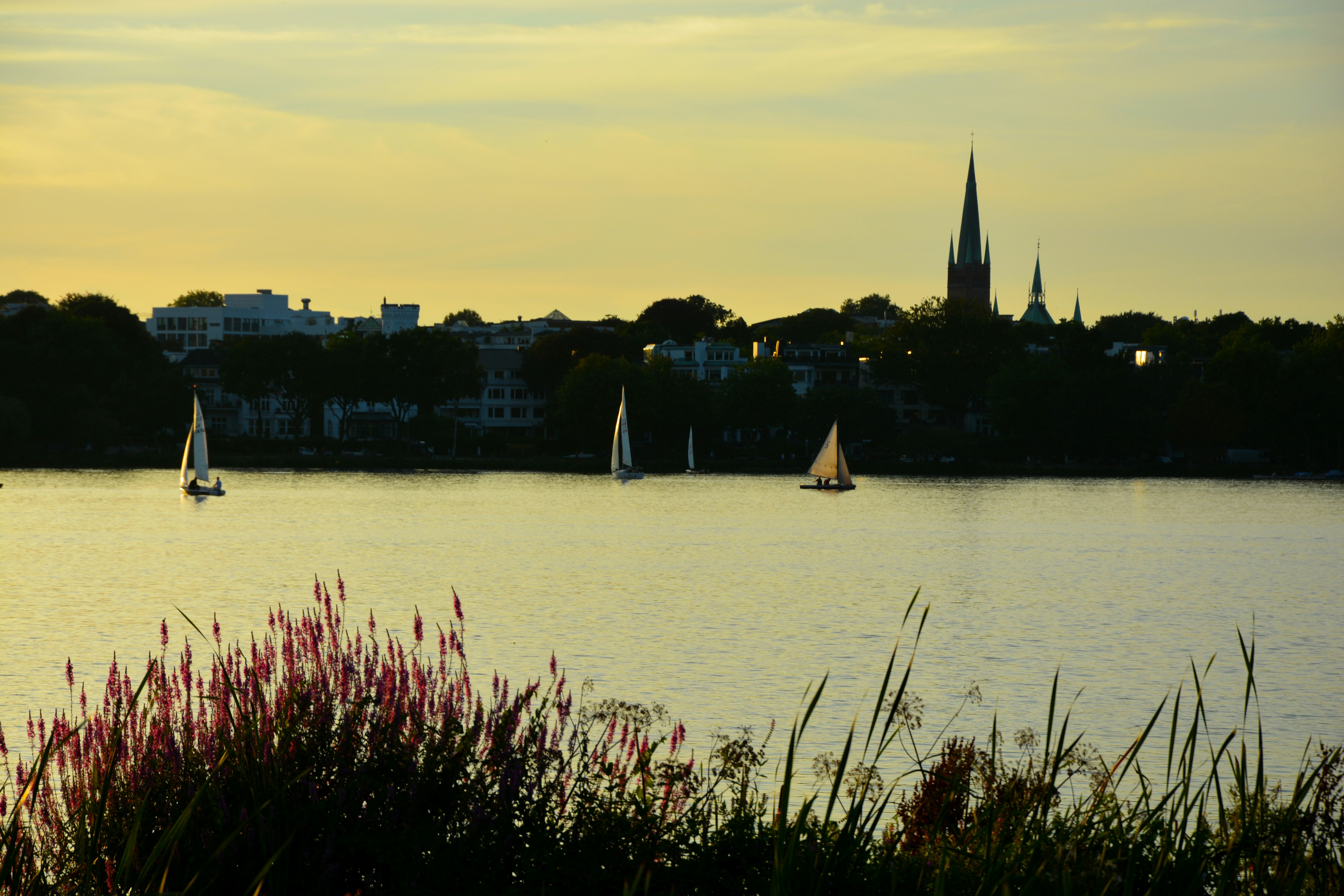 Free Unsplash photo from Caroline Duchesnes