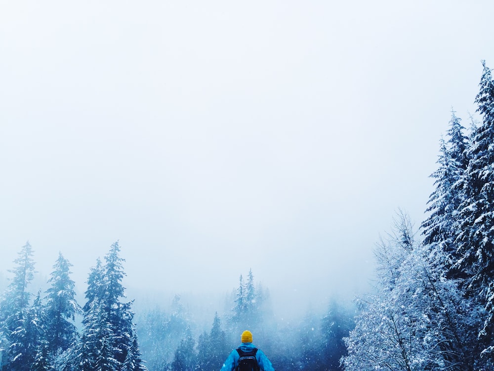 man wearing blue jacket beside pine trees during daytime