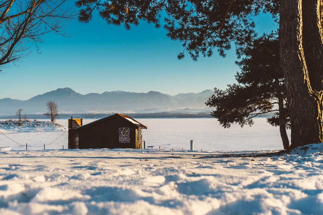 travelers stories about Log cabin in LiptovskÃ½ Trnovec, Slovakia