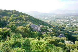 A scenic hillside land with mature trees and a distant view of the valley in Enugu State.