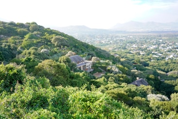 A lush green hillside densely covered with trees and vegetation, overlooking a residential area in the valley below. A few houses are nestled within the greenery, offering a serene view.