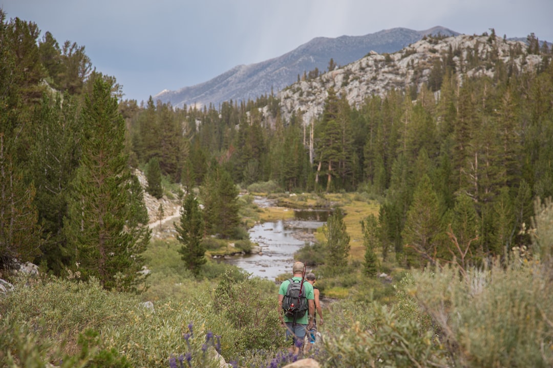 Nature reserve photo spot Rock Creek Campground Yosemite National Park