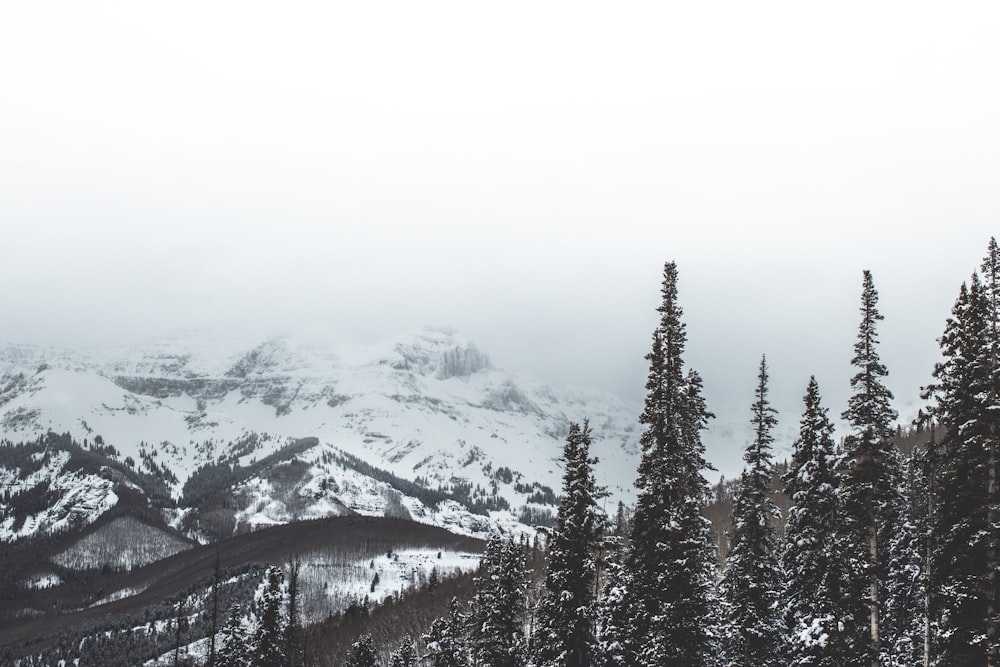 snow covered mountain during daytime