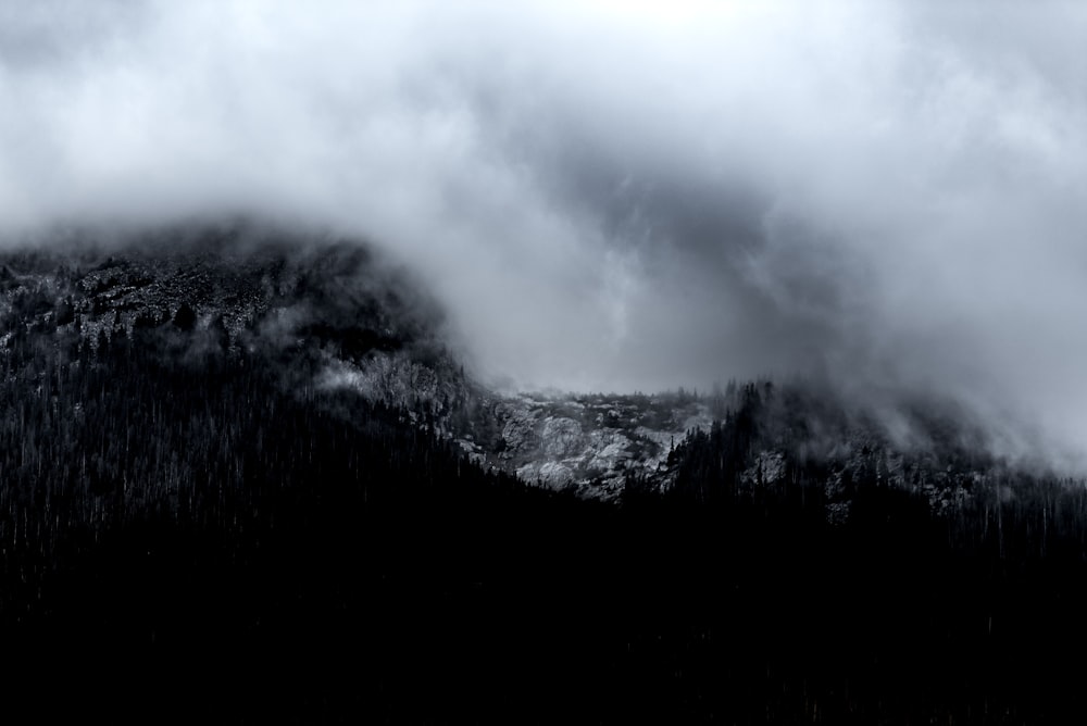 mountain covered with fog